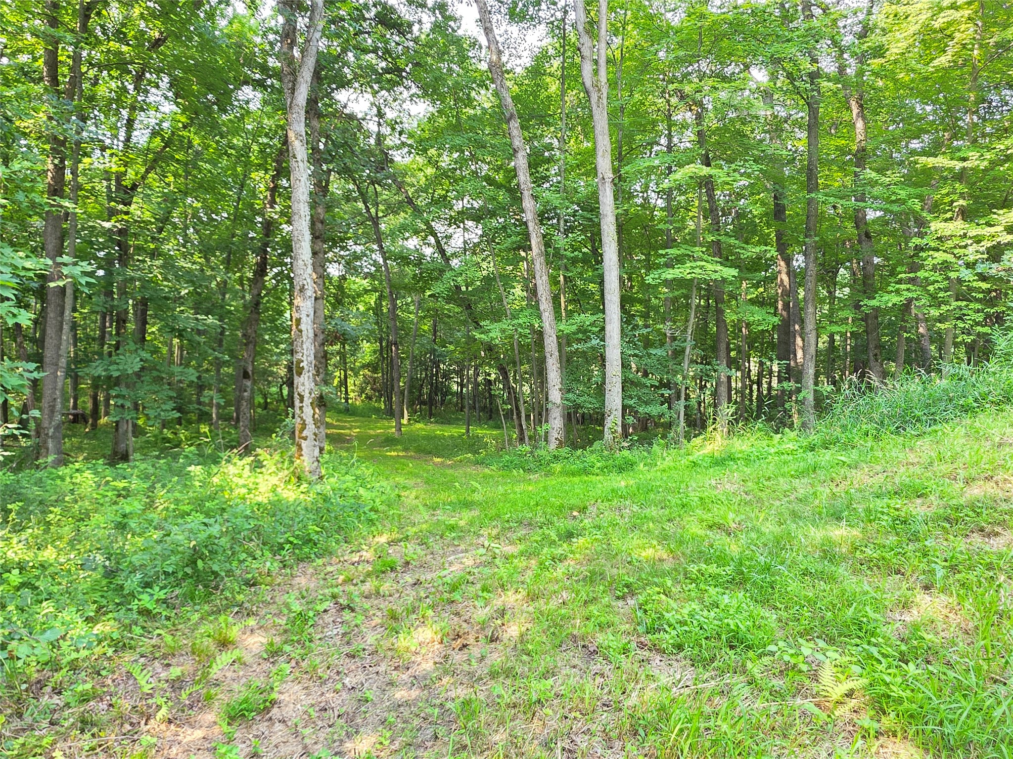 Lot 0 County Road W Property Photo 13