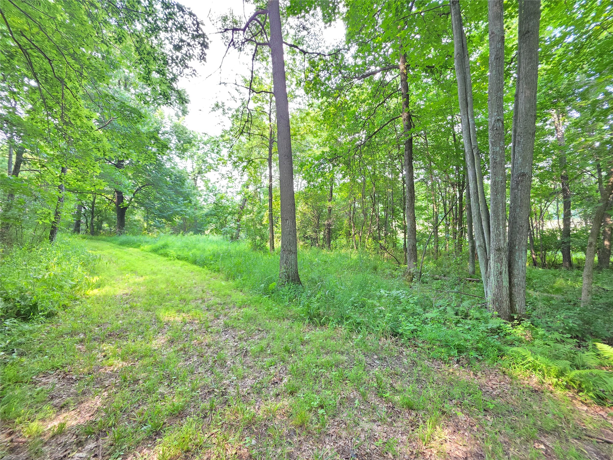 Lot 0 County Road W Property Photo 14