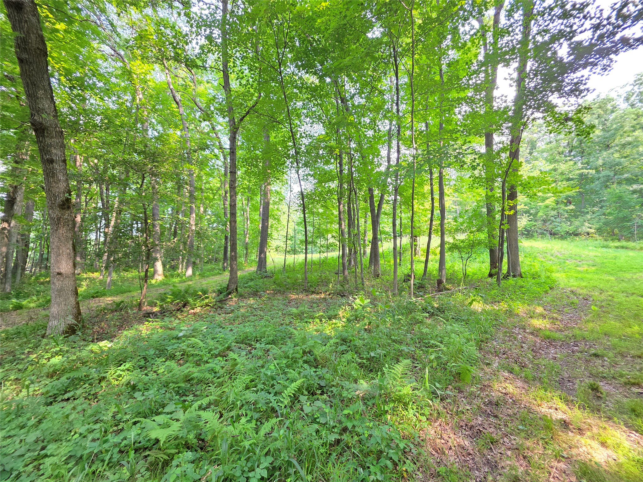 Lot 0 County Road W Property Photo 15