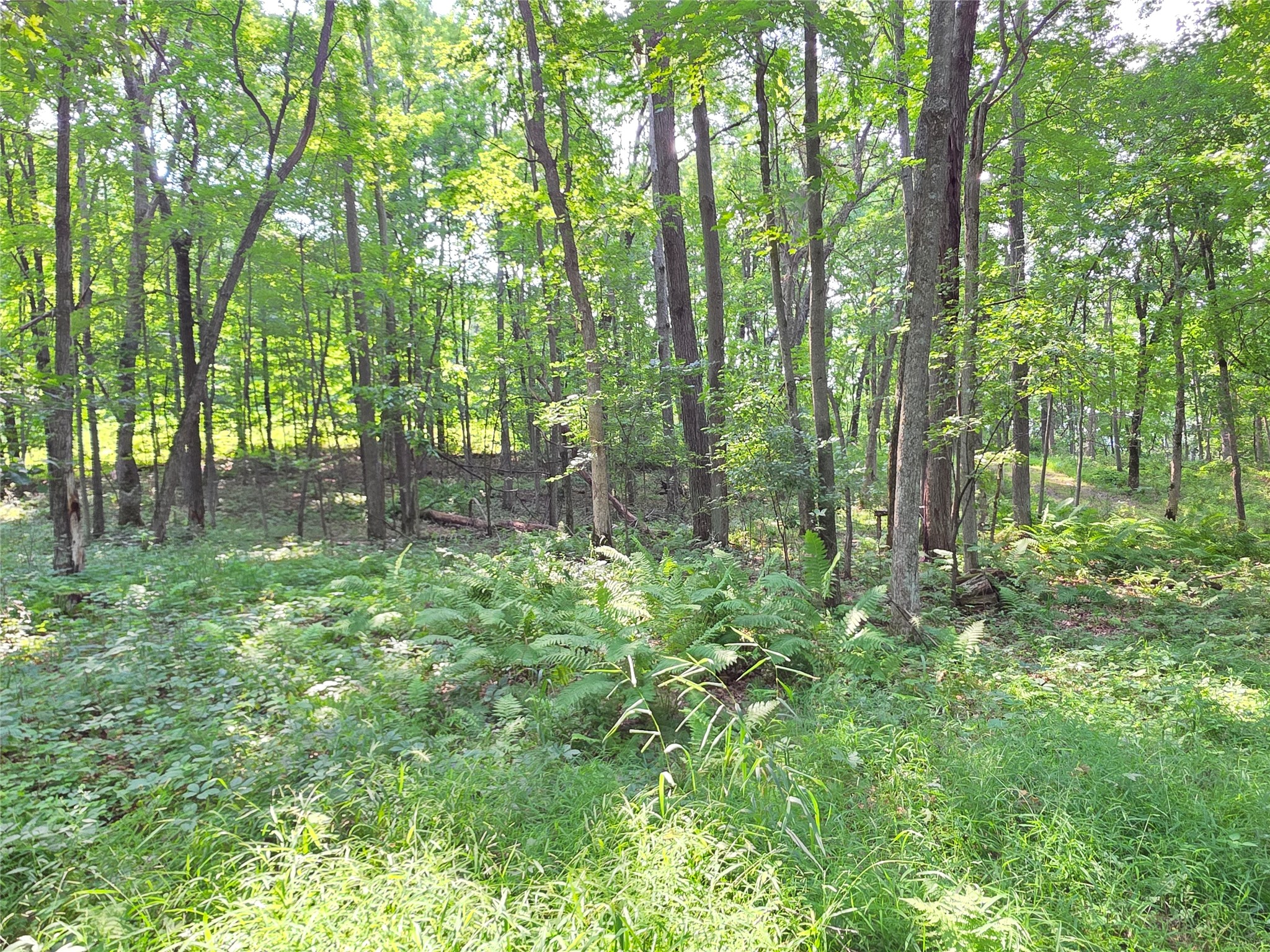 Lot 0 County Road W Property Photo 16