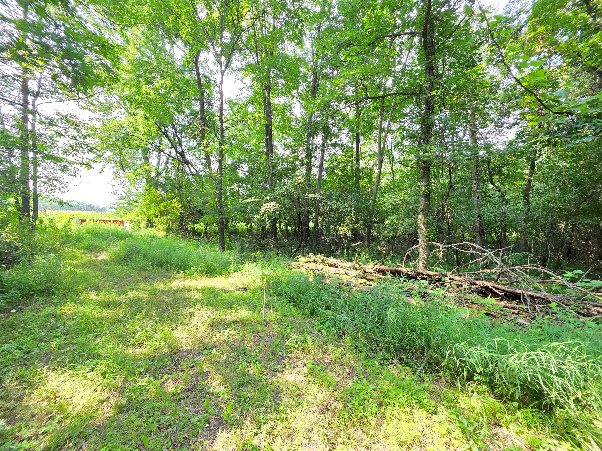 Lot 0 County Road W Property Photo 17