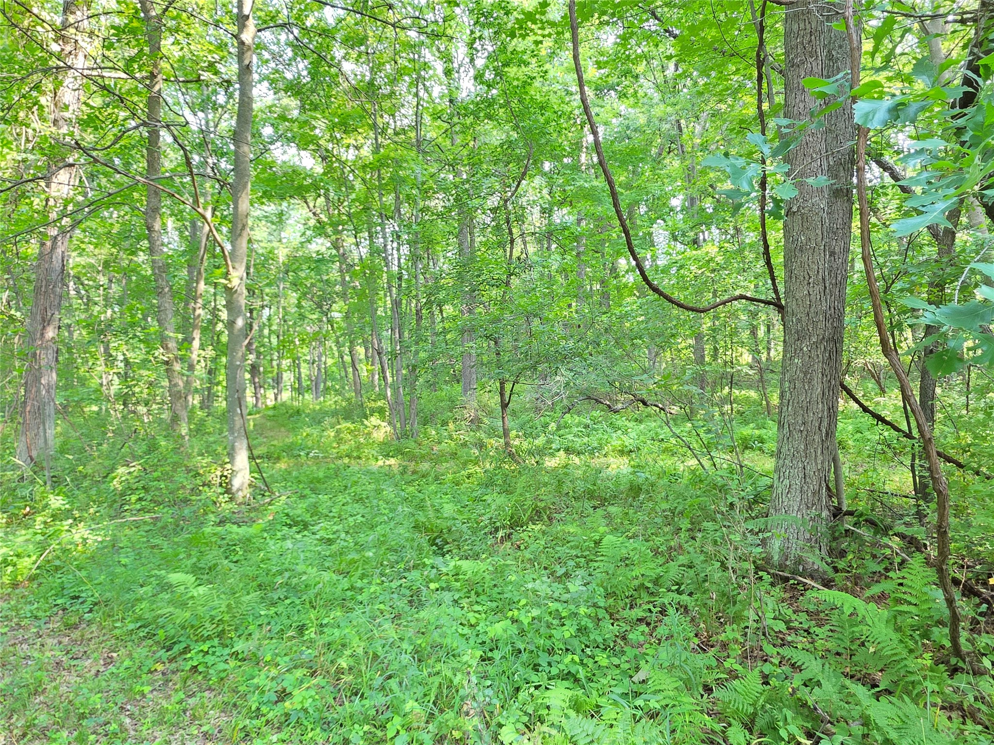 Lot 0 County Road W Property Photo 19