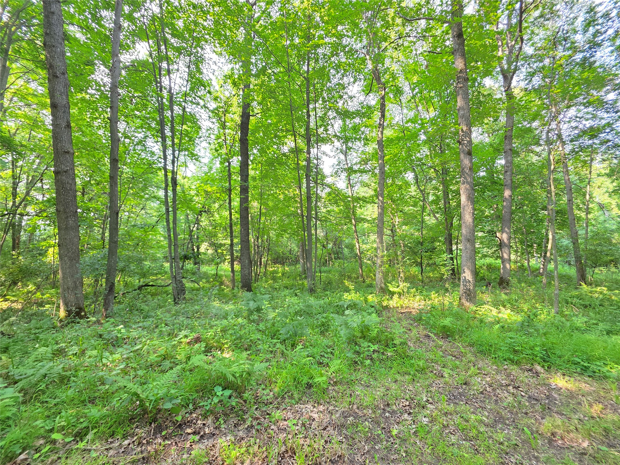 Lot 0 County Road W Property Photo 20