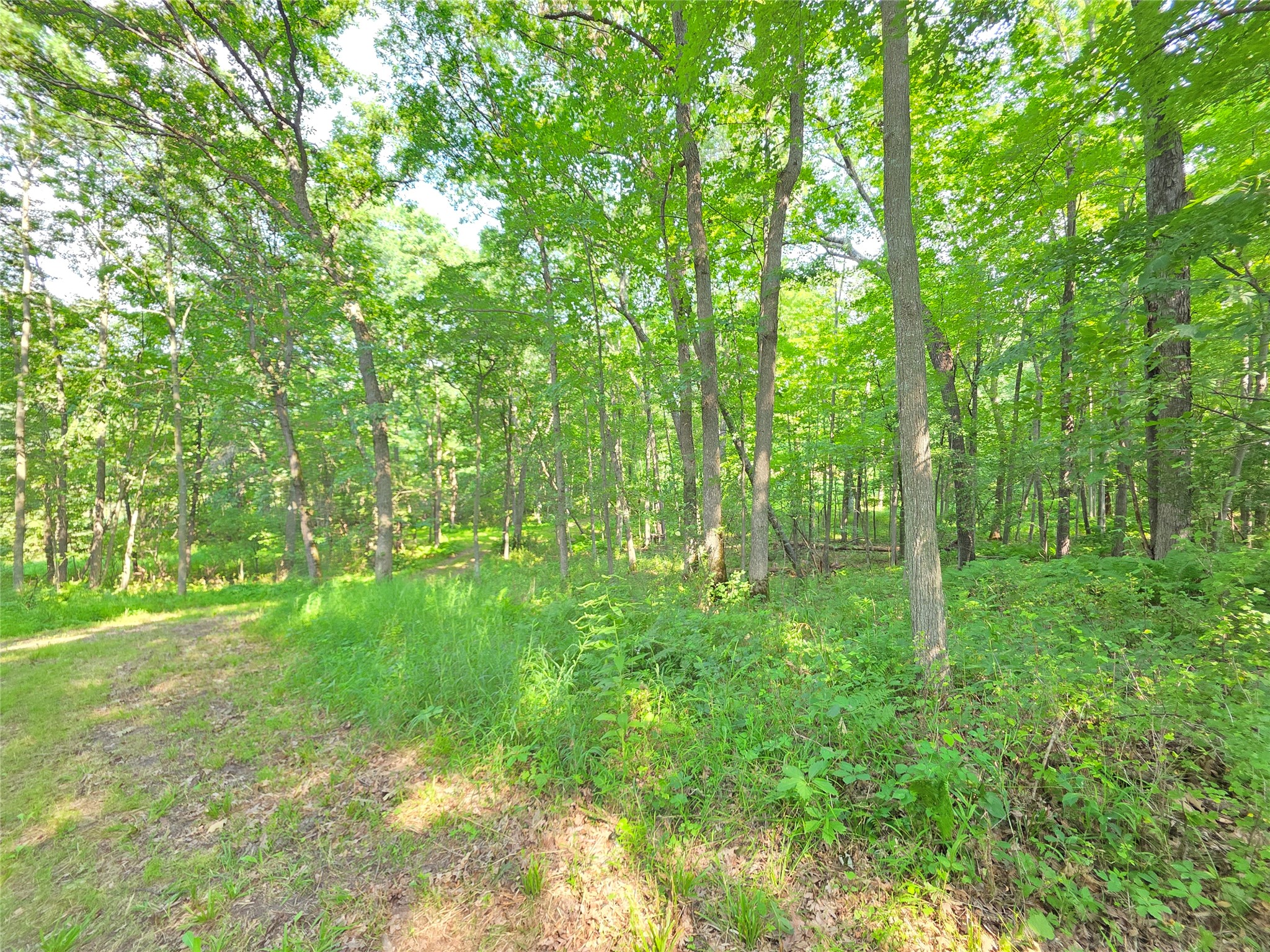 Lot 0 County Road W Property Photo 23