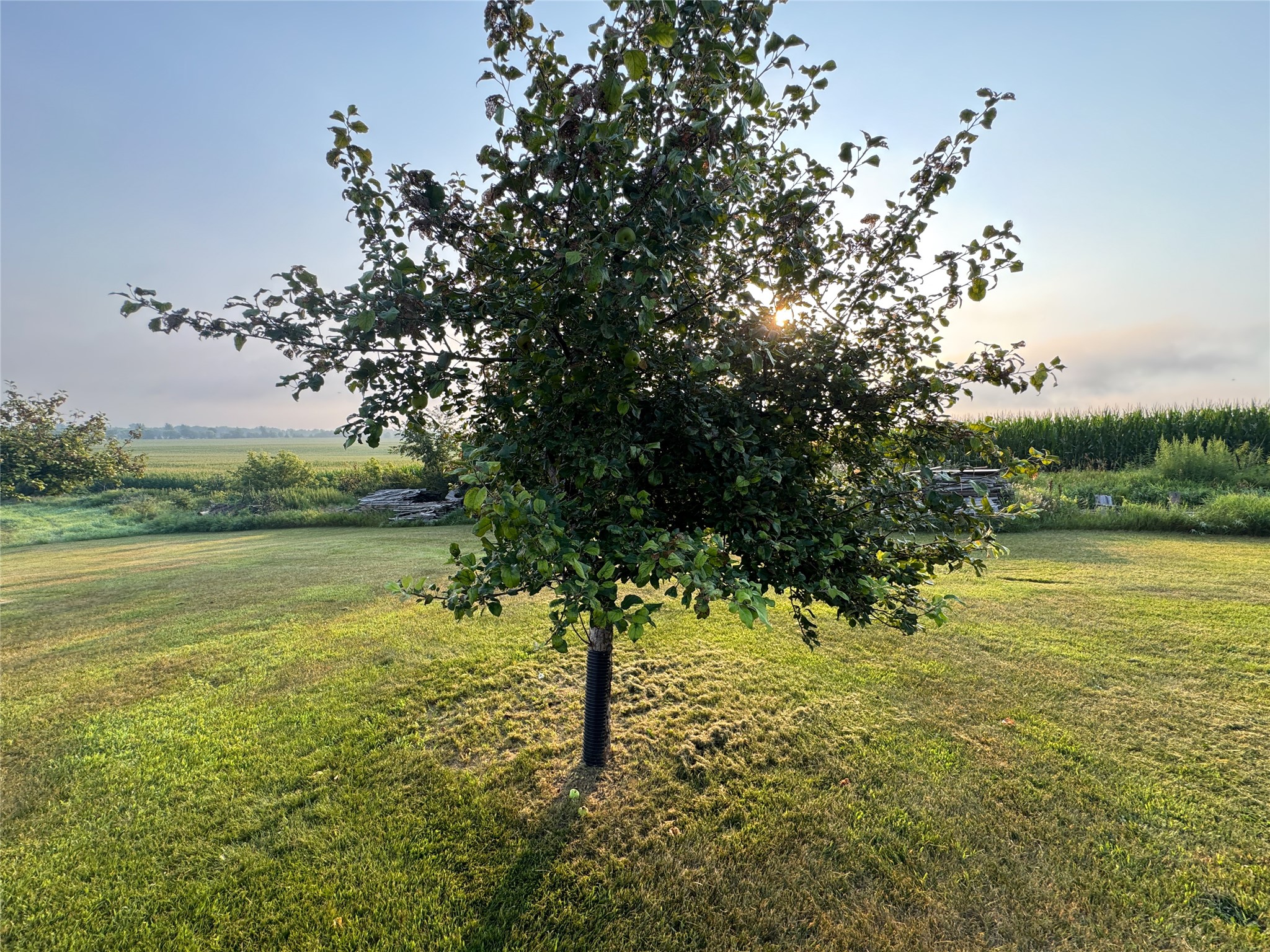 1722 Us Highway 12 Property Photo 50