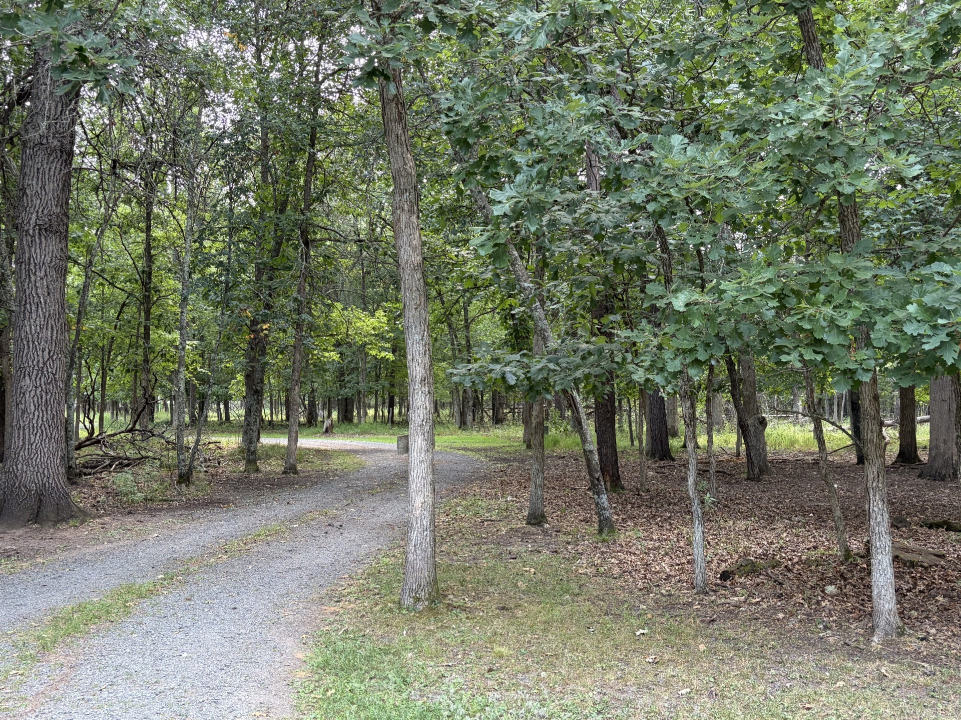 20654 Bucktail Drive Property Photo 7