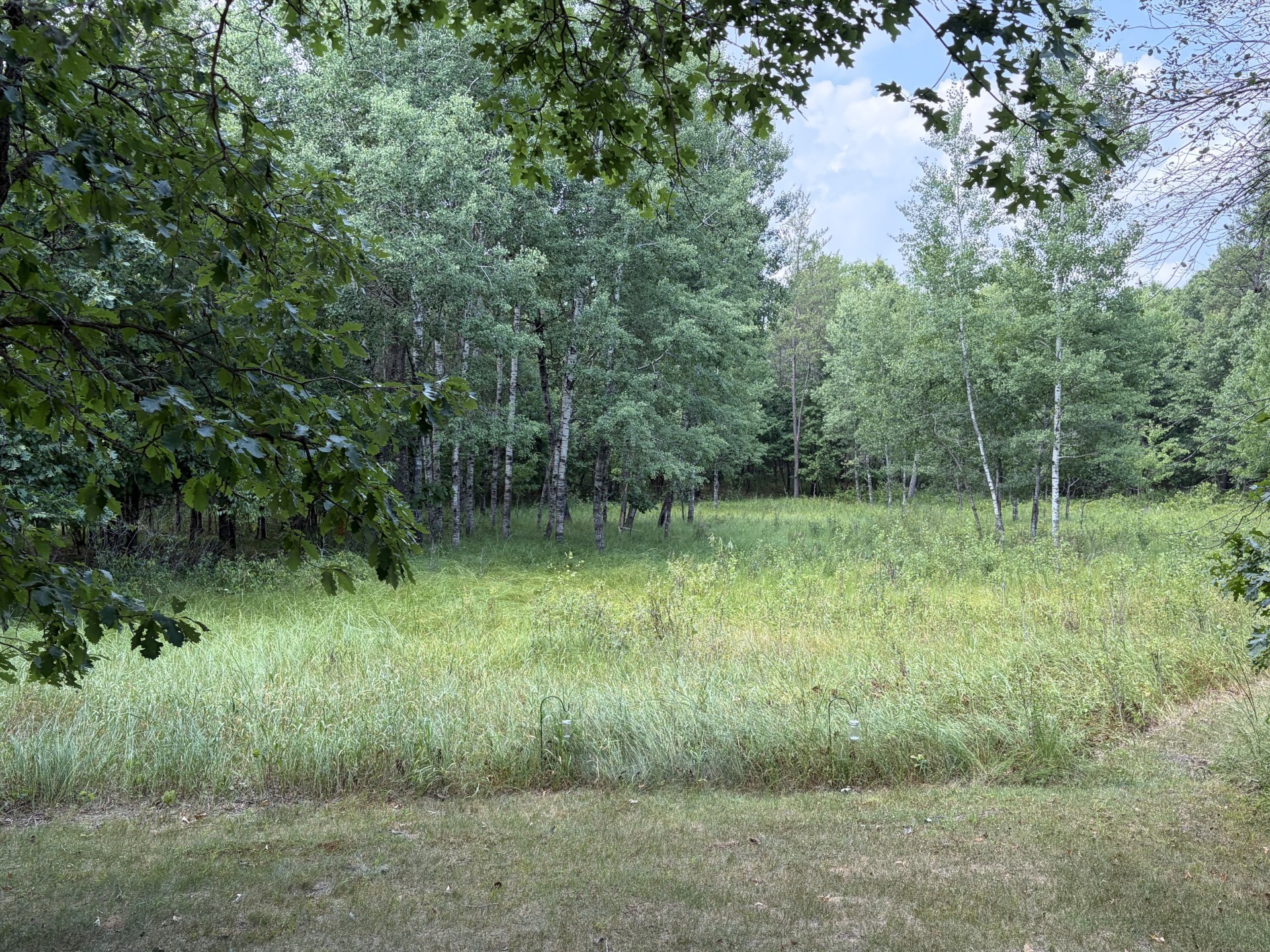20654 Bucktail Drive Property Photo 37