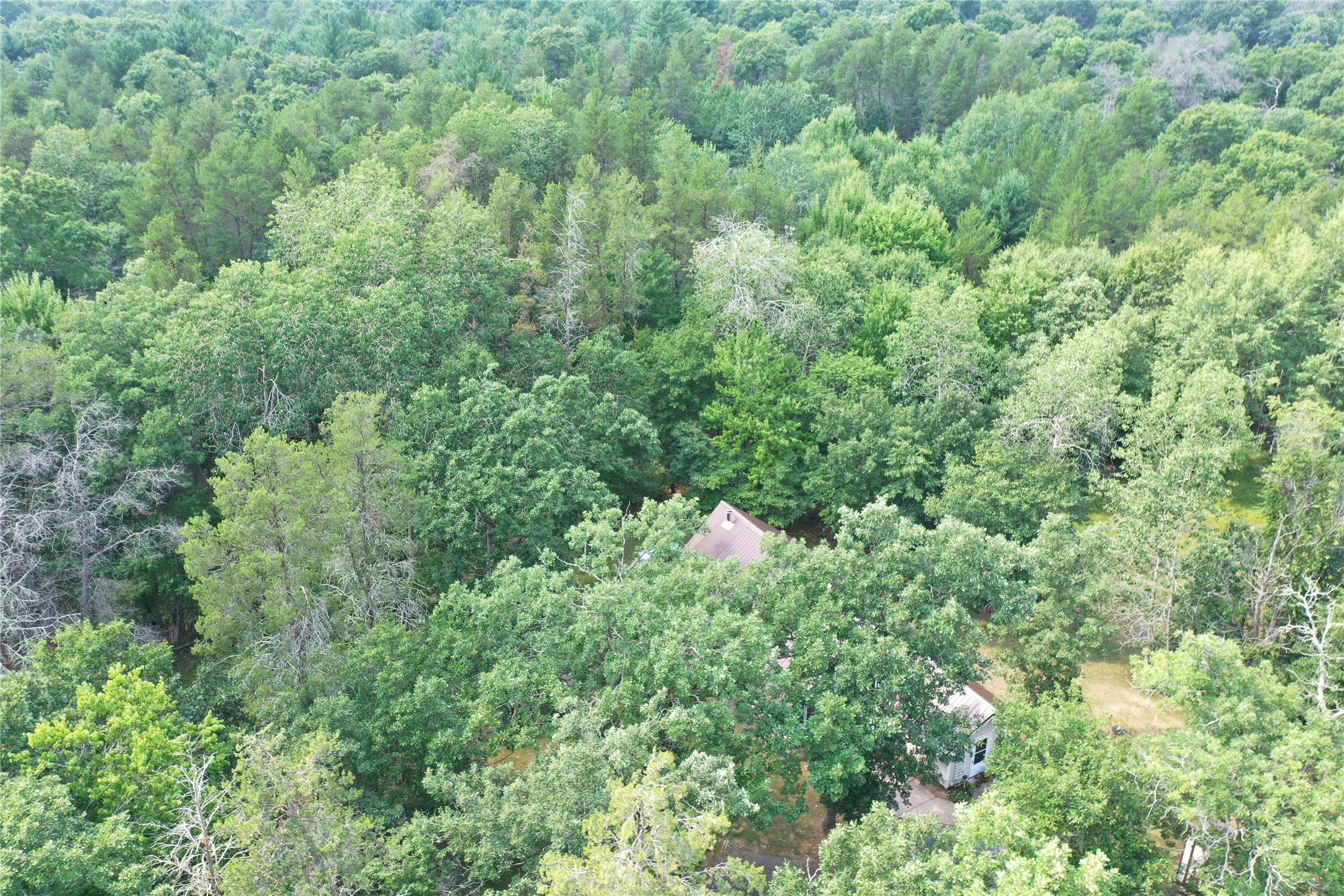 20654 Bucktail Drive Property Photo 43