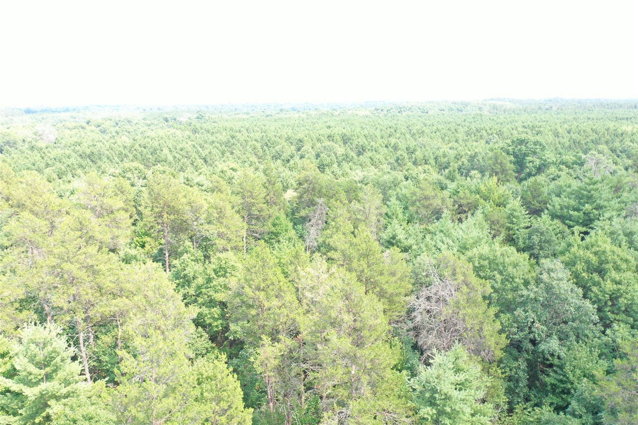 20654 Bucktail Drive Property Photo 45