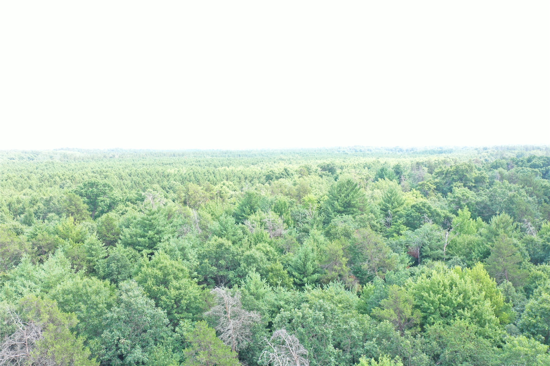 20654 Bucktail Drive Property Photo 46