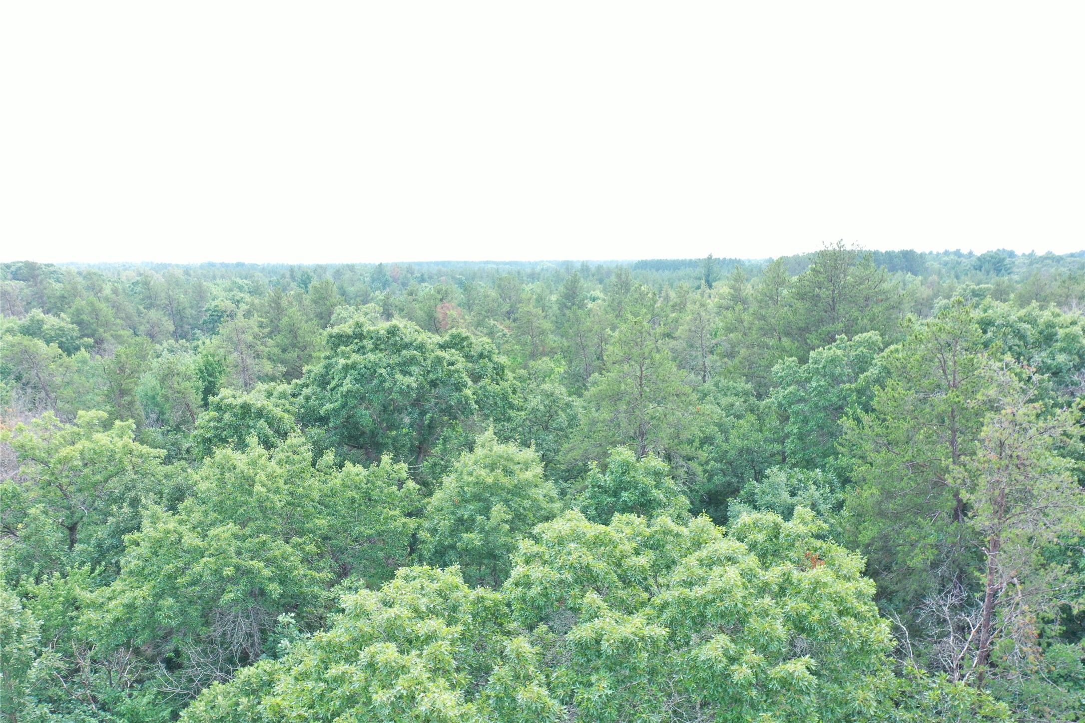 20654 Bucktail Drive Property Photo 47