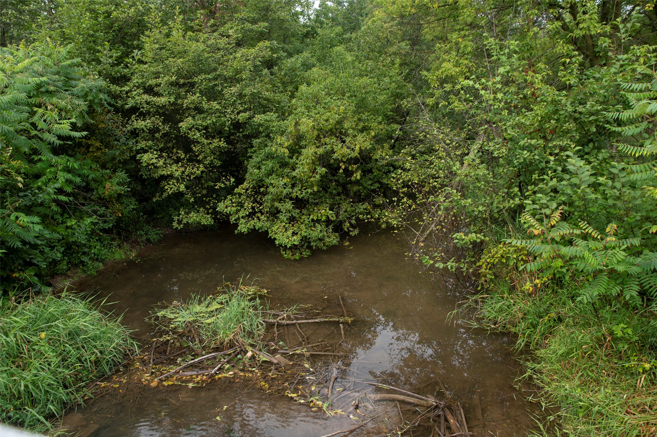 29191 County Highway X Property Photo 39
