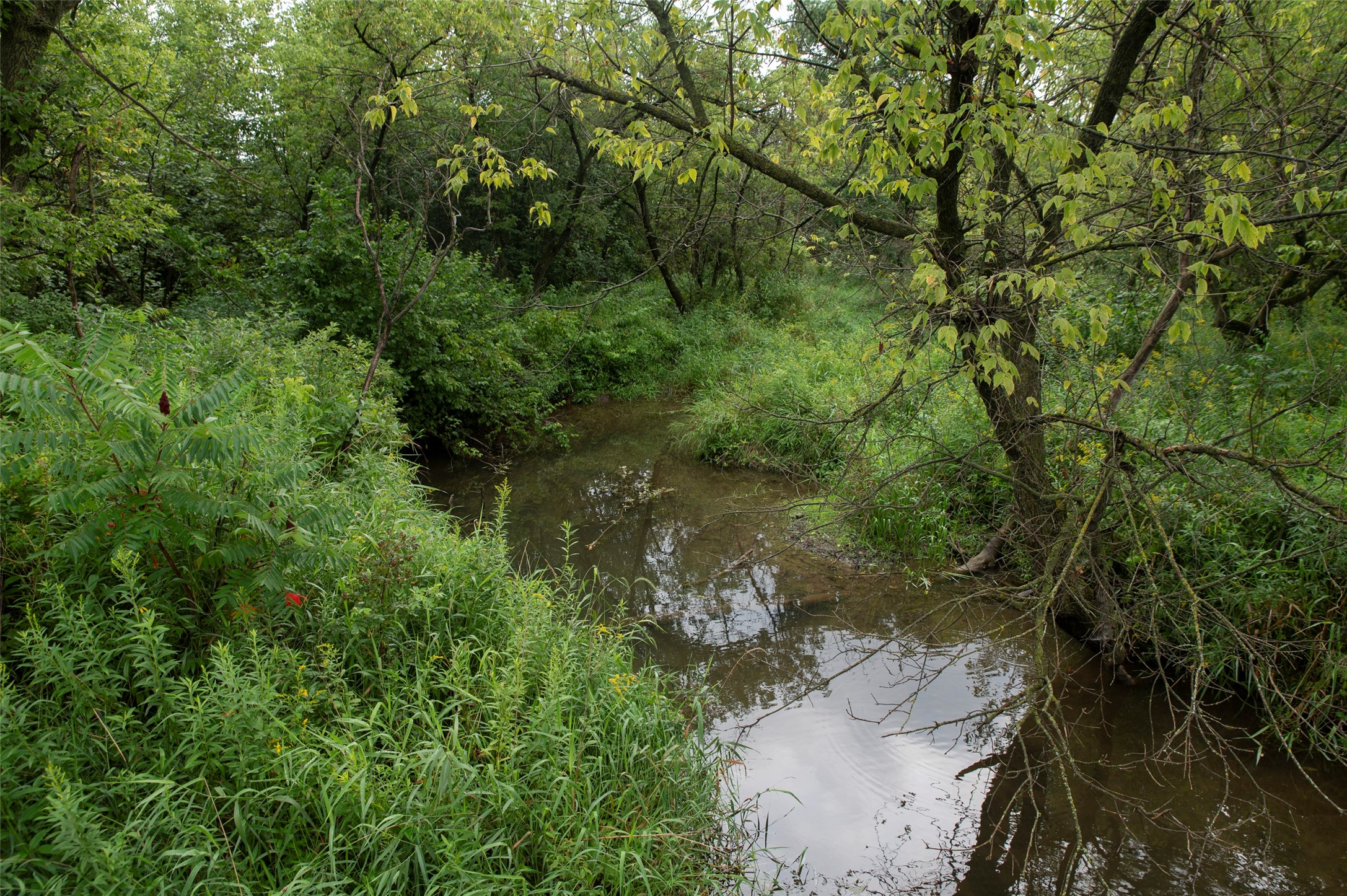 29191 County Highway X Property Photo 40