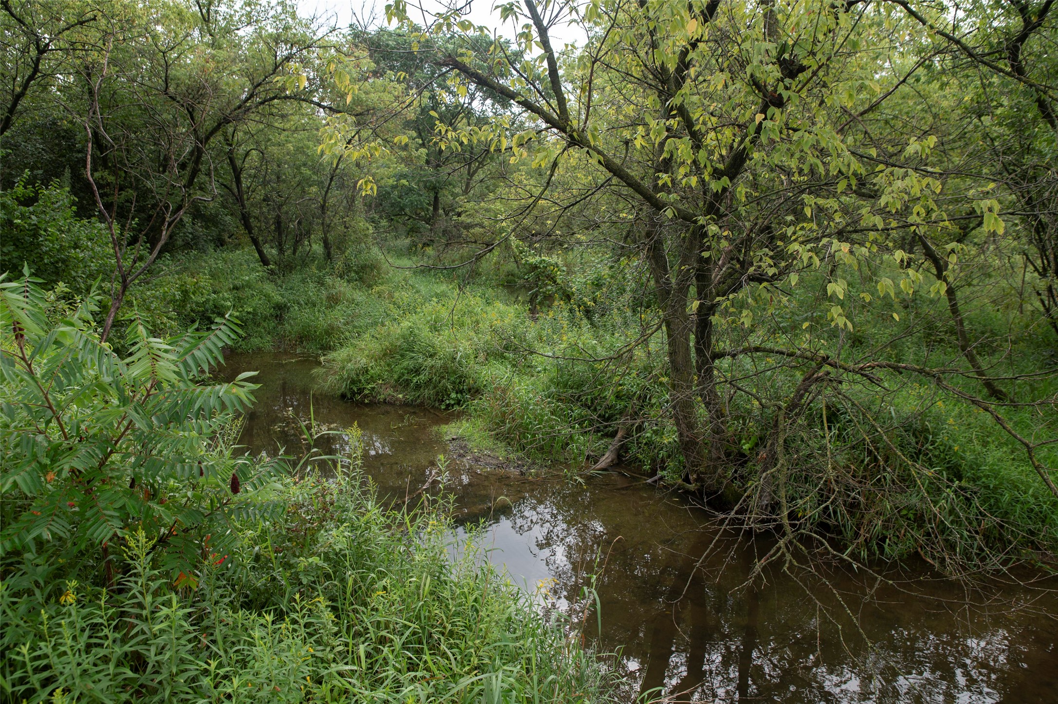29191 County Highway X Property Photo 41