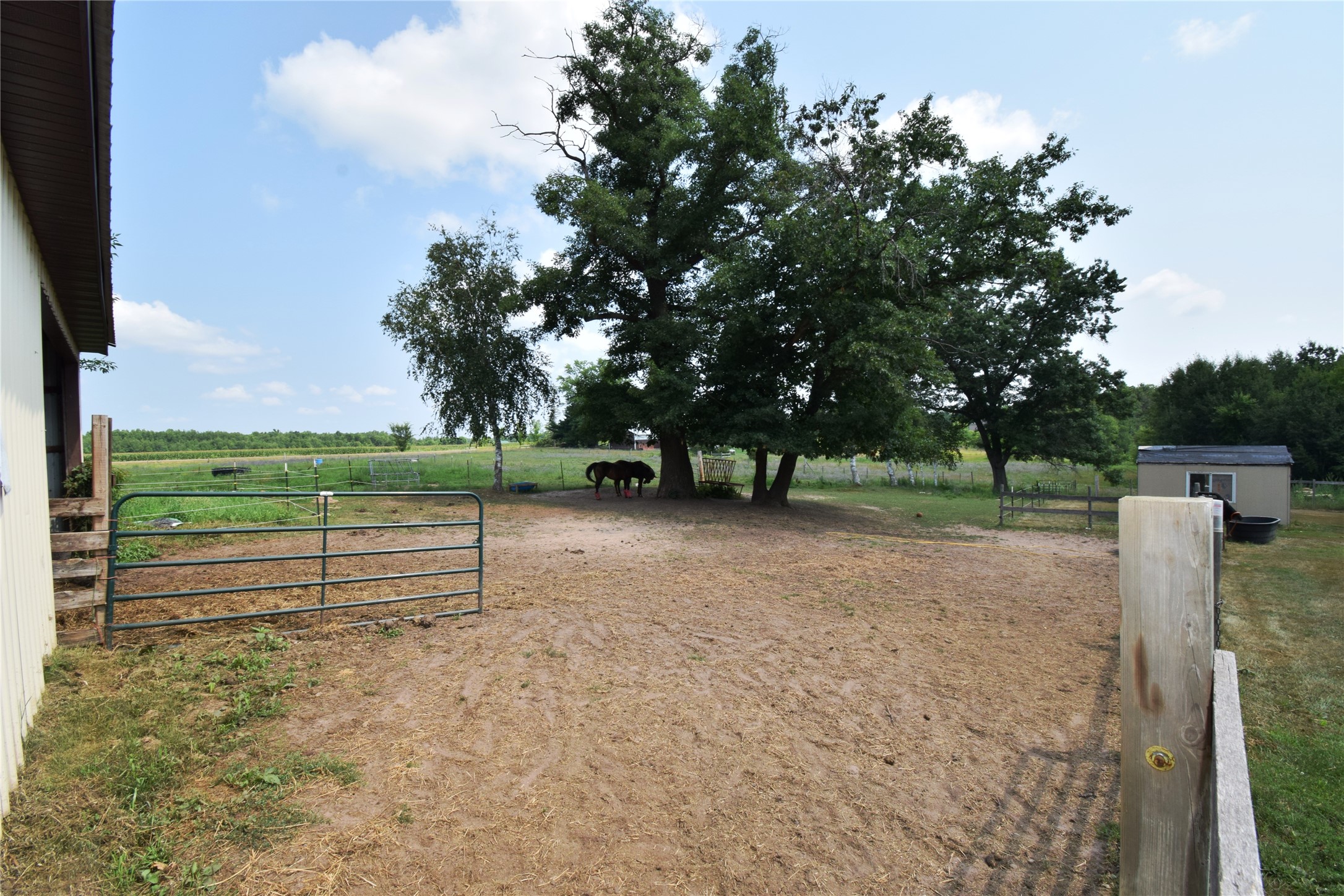 27154 Deerstand Trail Property Photo 47