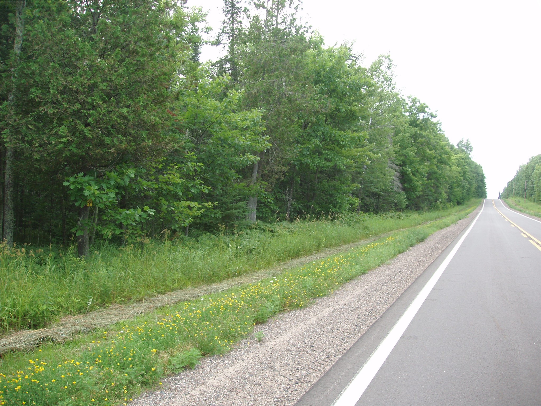 40+/- A On State Highway 102 Property Photo 6