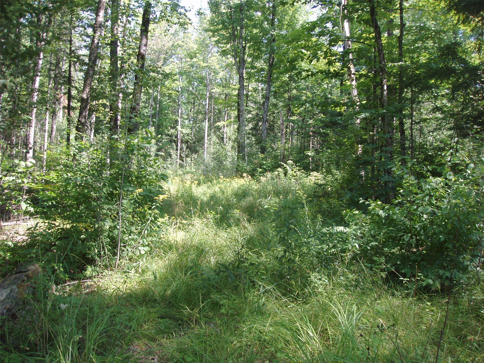 40+/- A On State Highway 102 Property Photo 15