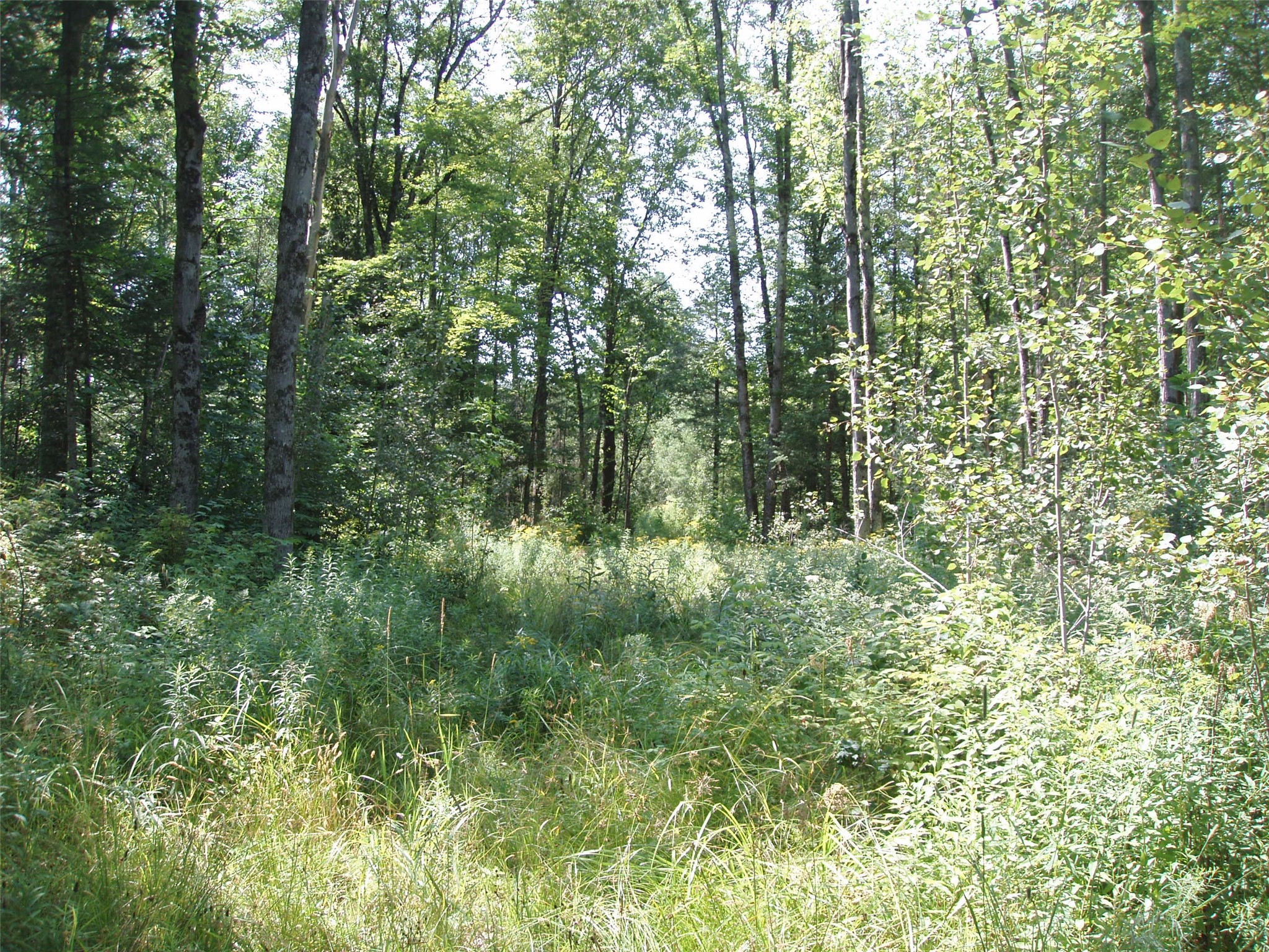 40+/- A On State Highway 102 Property Photo 17