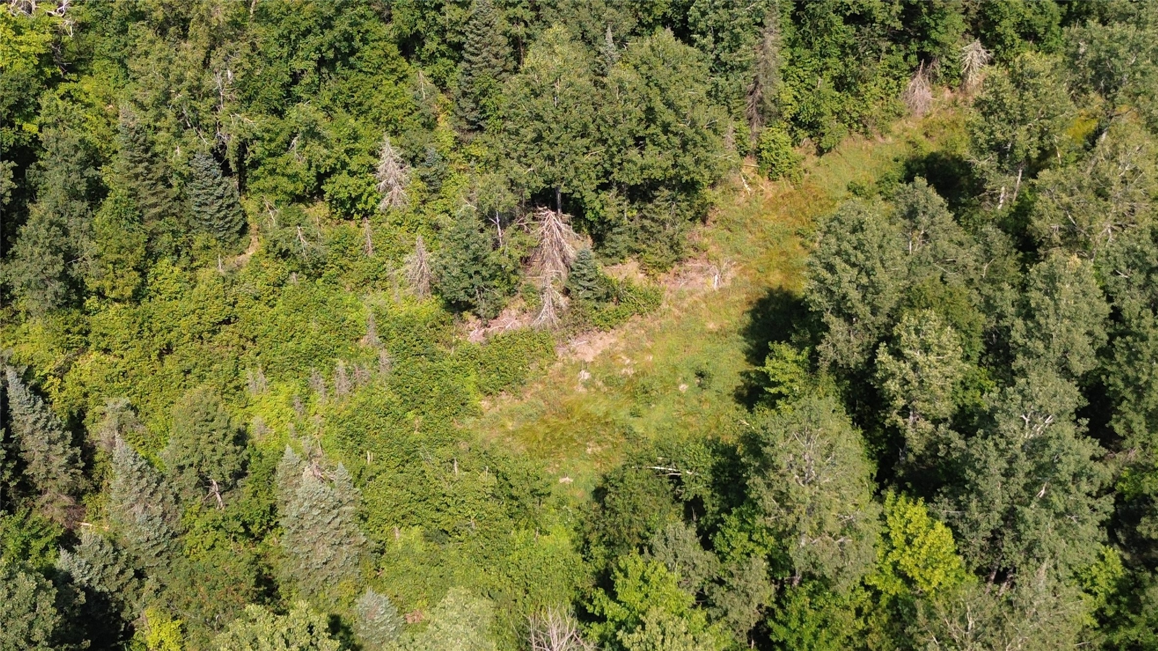 Lot 3 County Highway W Property Photo 7