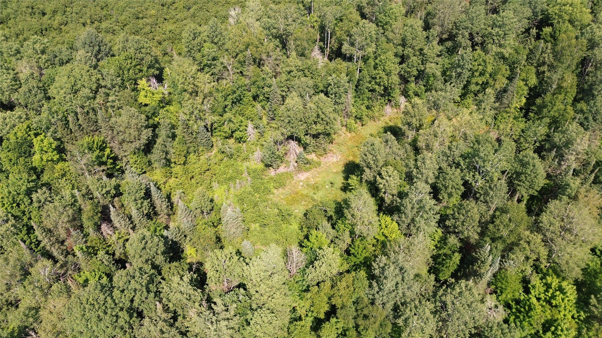 Lot 3 County Highway W Property Photo 8