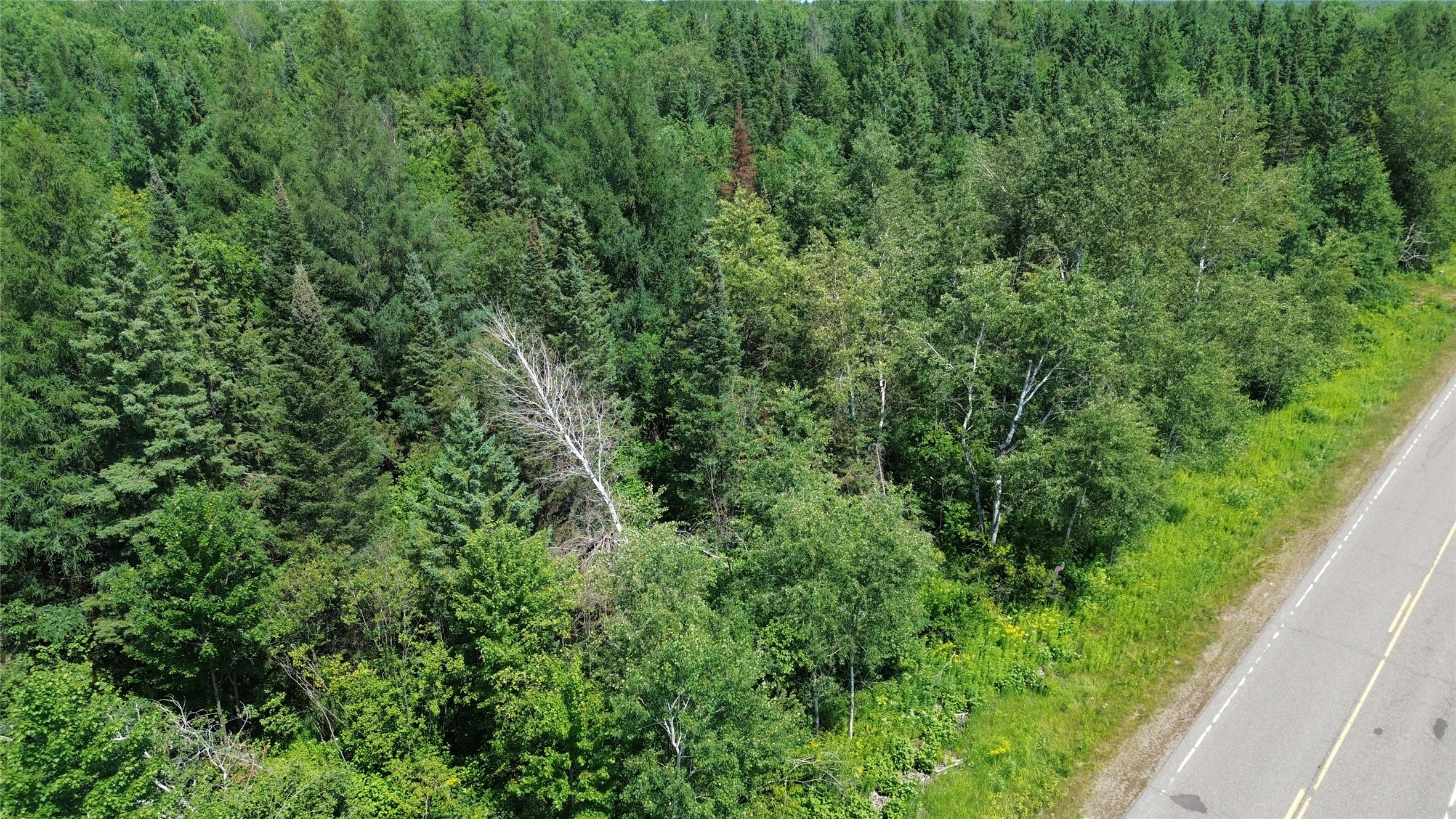 Lot 3 County Highway W Property Photo 10