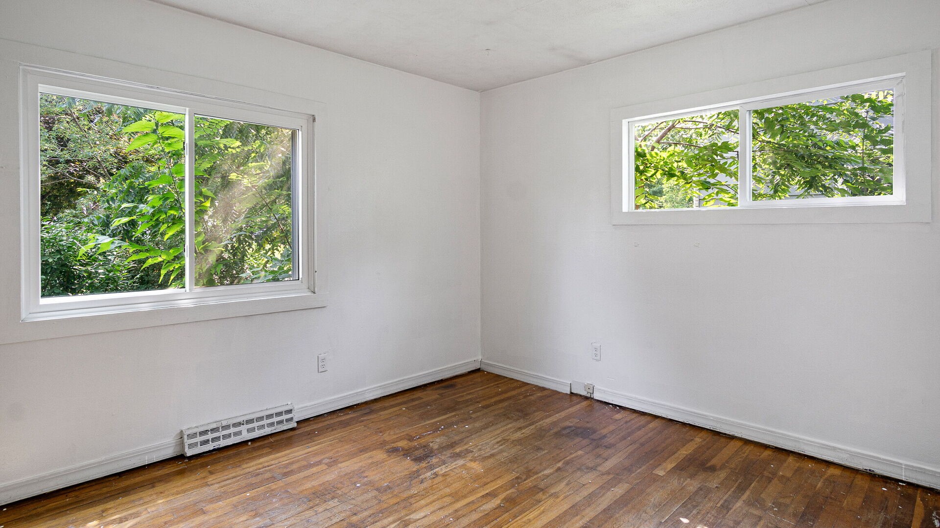 920 Cedar Street Property Photo 6