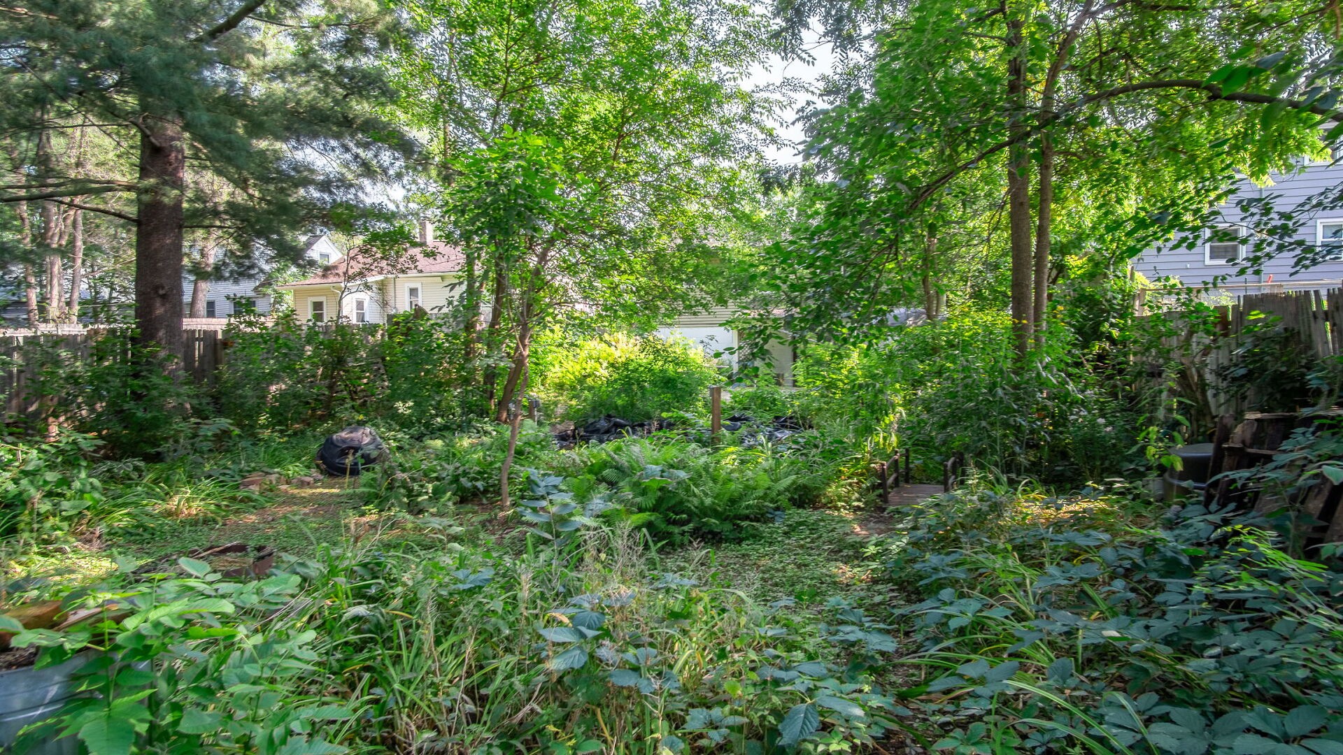 920 Cedar Street Property Photo 30