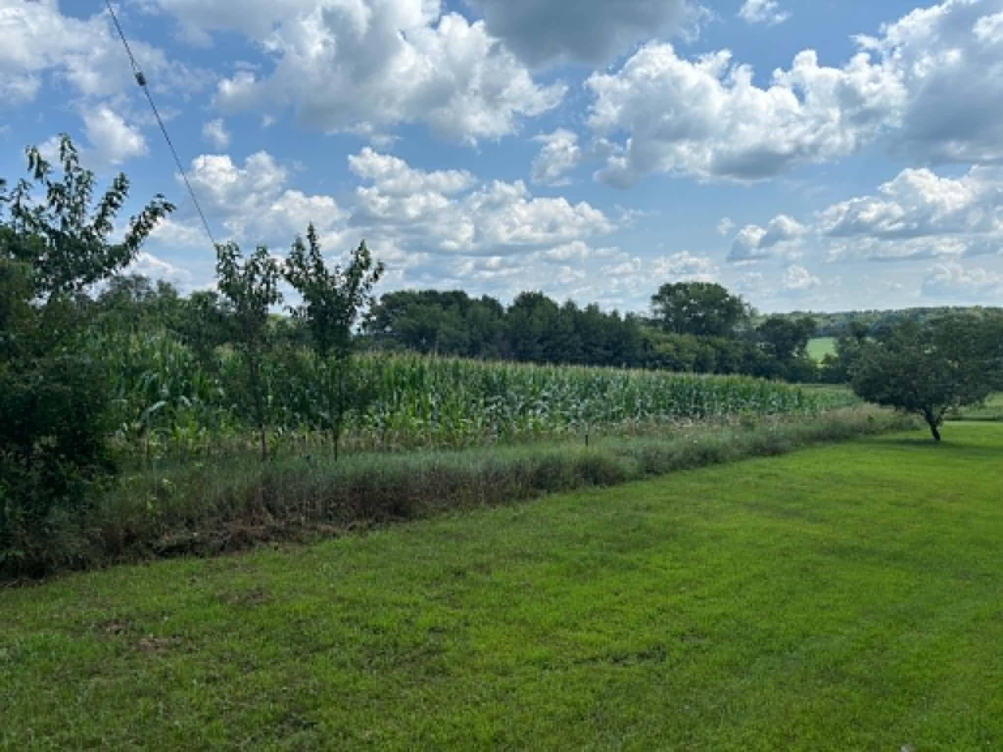 Vacant Land 420th Avenue Property Photo 1
