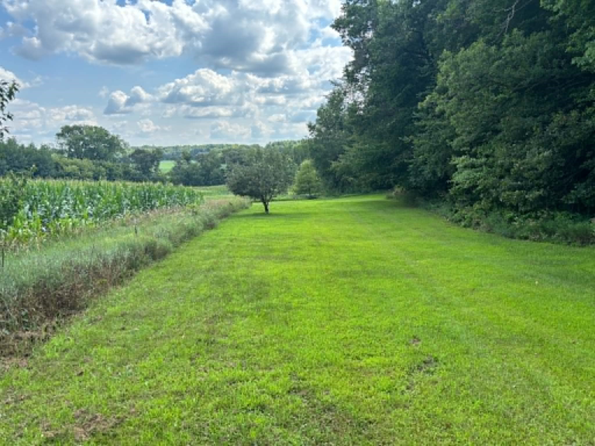 Vacant Land 420th Avenue Property Photo 4