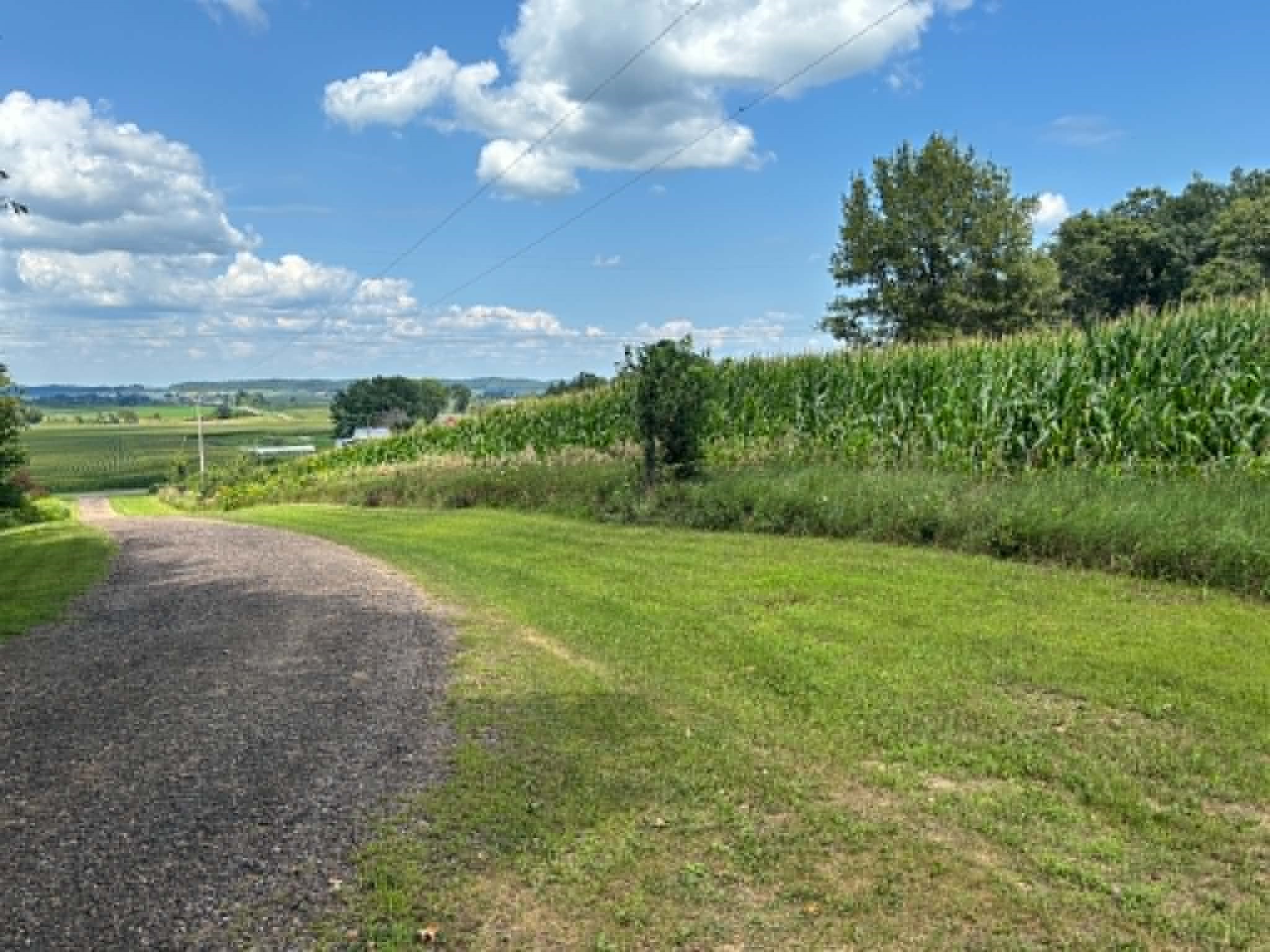Vacant Land 420th Avenue Property Photo 6