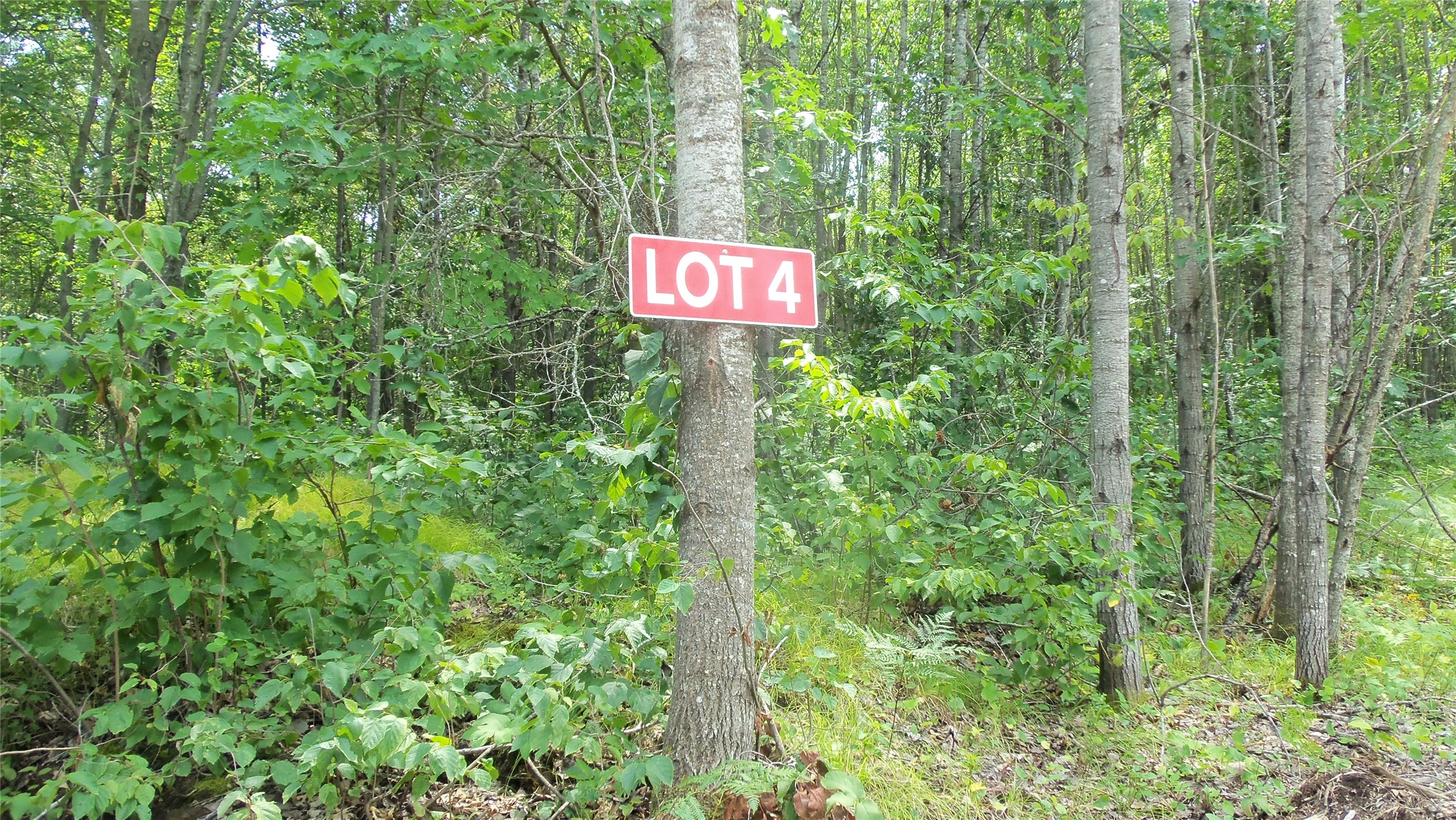 Lot 4 Birch Tree Trail Property Photo 2