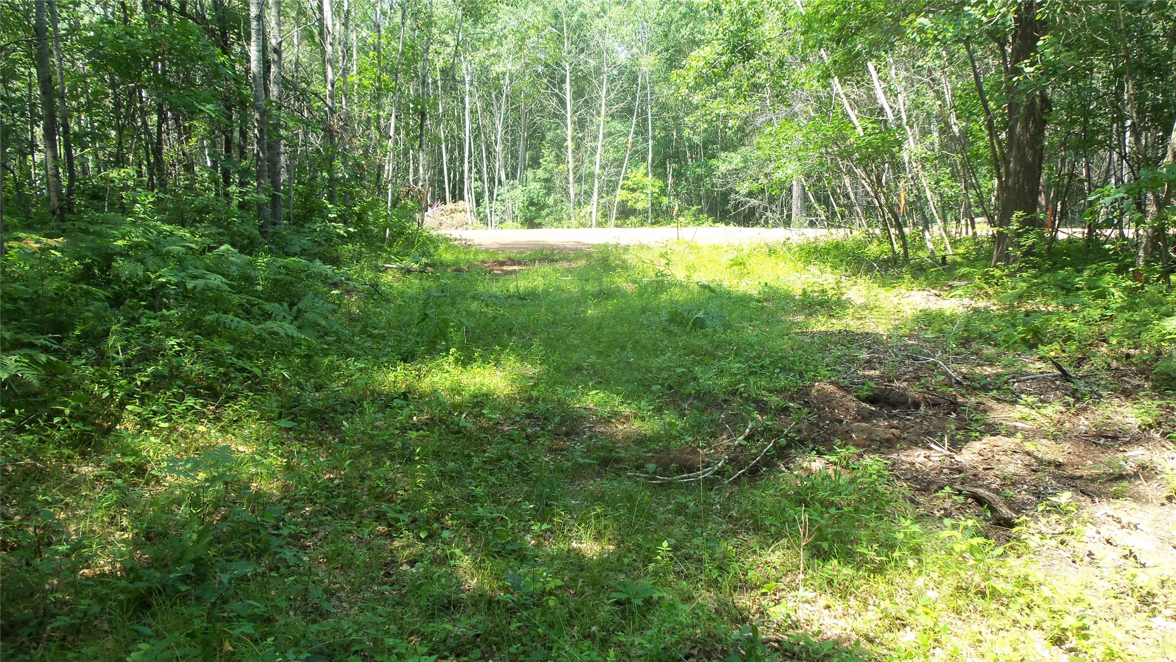 Lot 4 Birch Tree Trail Property Photo 6