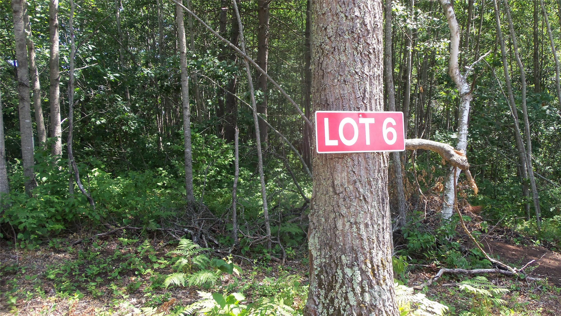 Lot 6 Birch Tree Trail Property Photo 2