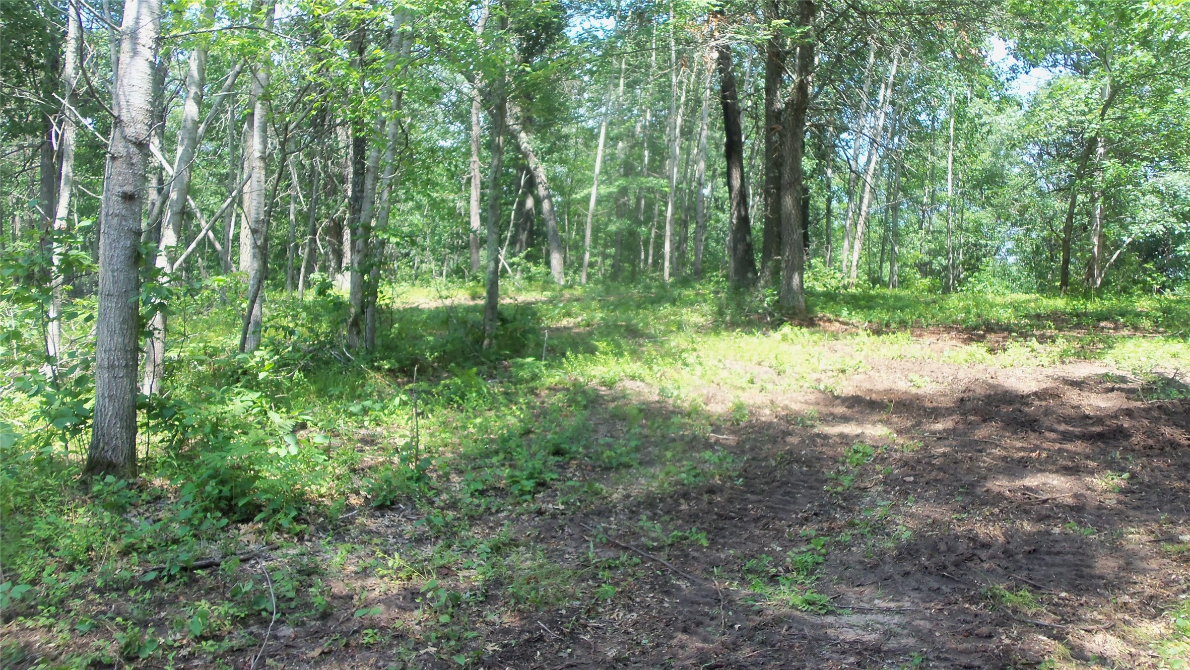 Lot 6 Birch Tree Trail Property Photo 4