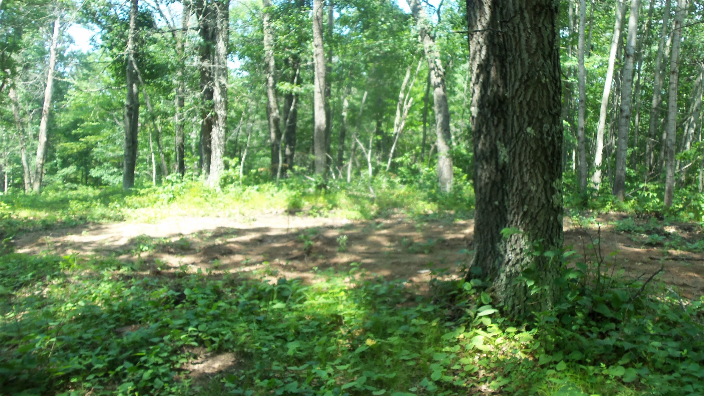 Lot 6 Birch Tree Trail Property Photo 5