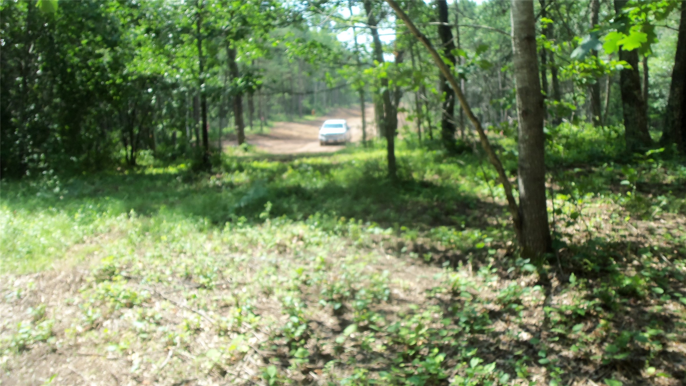 Lot 6 Birch Tree Trail Property Photo 8
