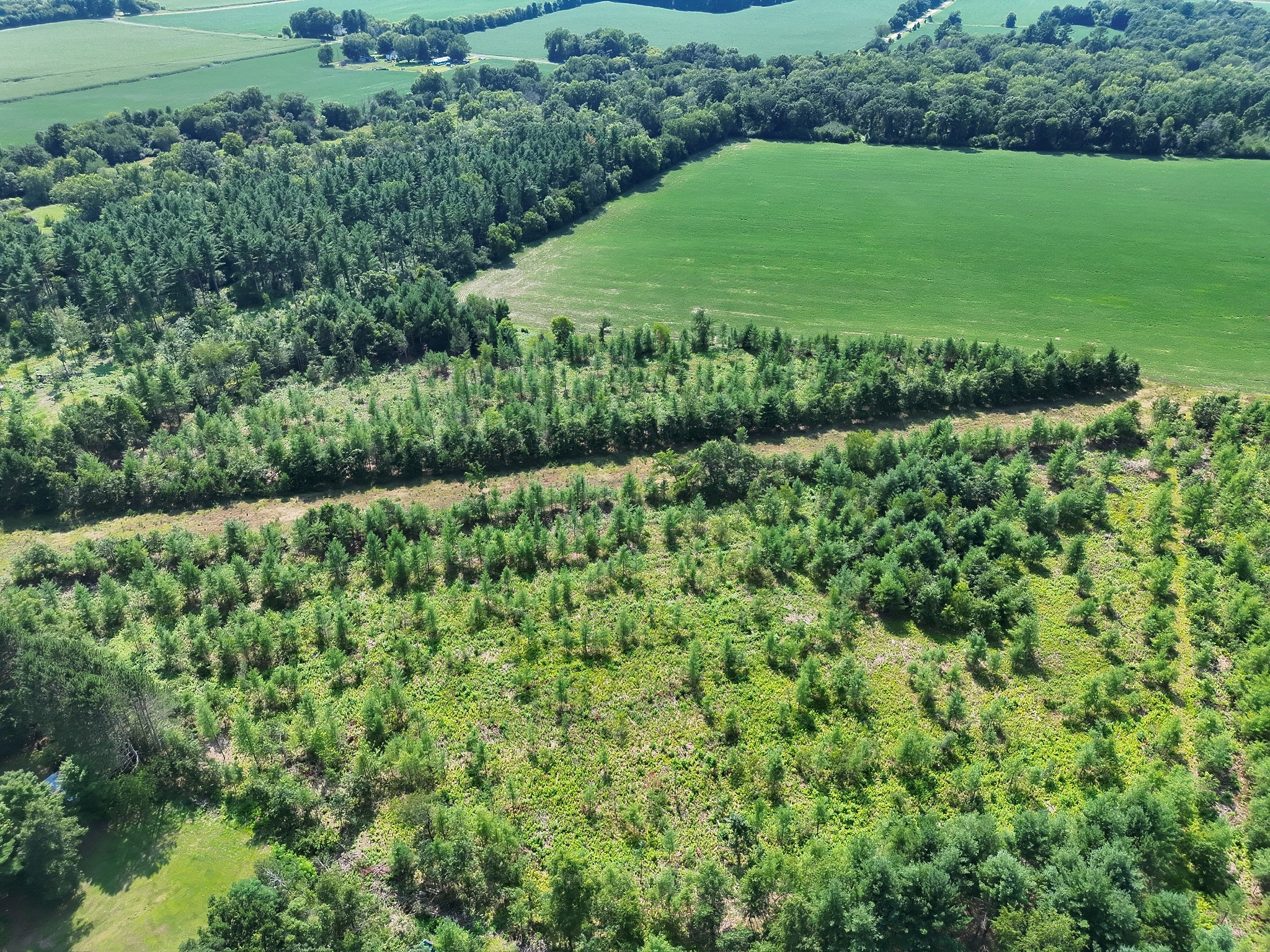 Xx State Highway 79 Property Photo 5