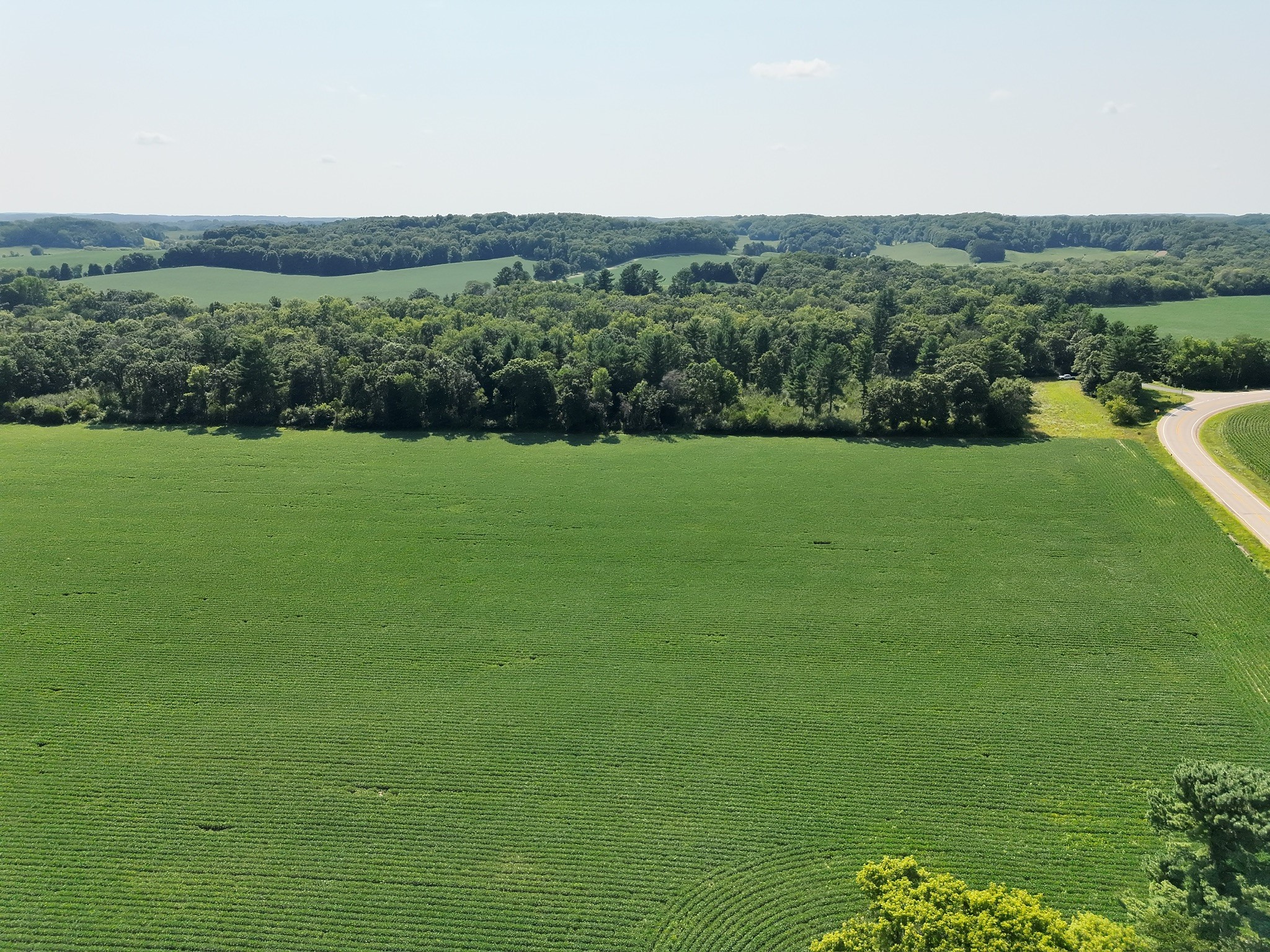 Xx State Highway 79 Property Photo 6