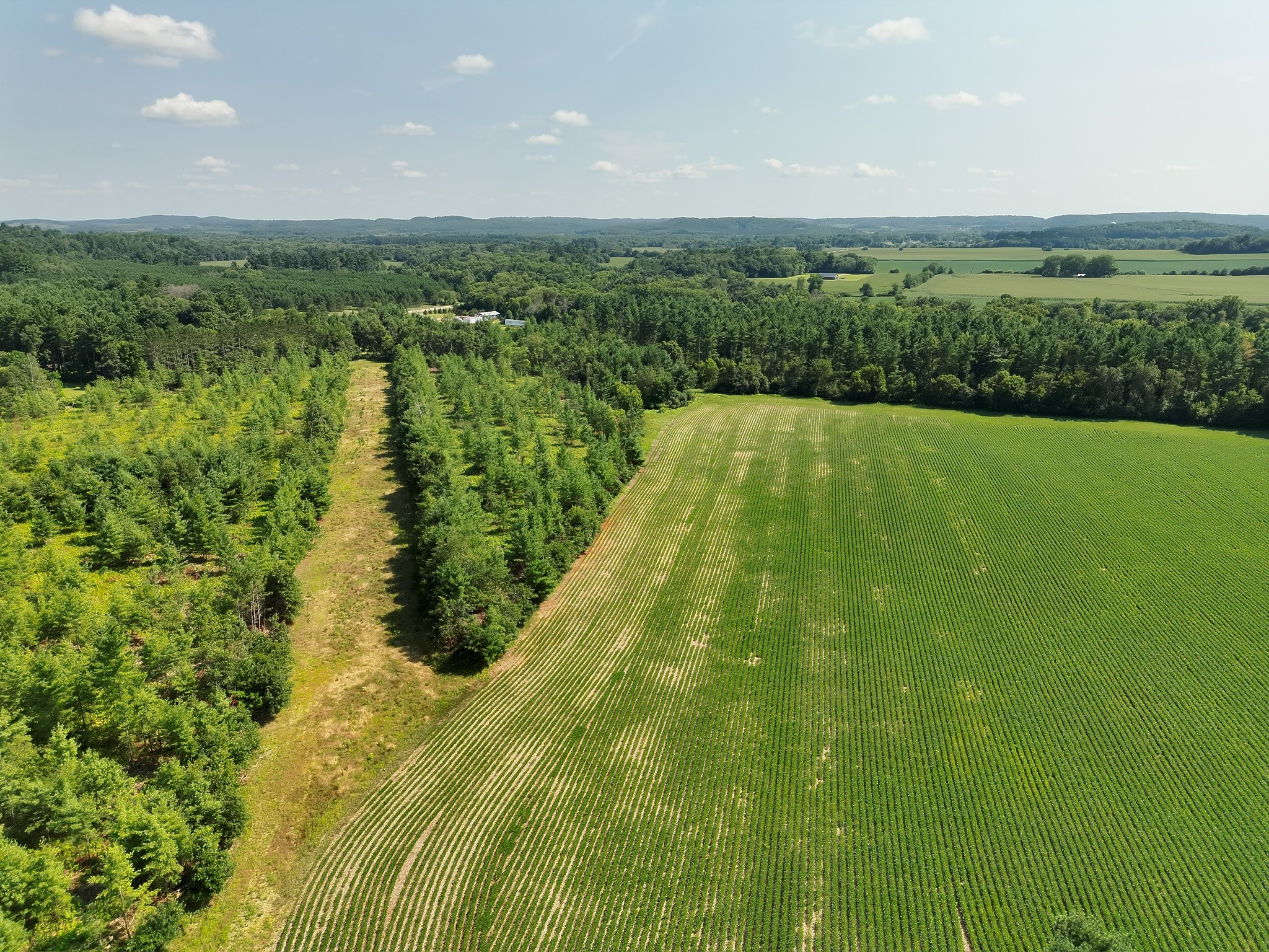 Xx State Highway 79 Property Photo 7