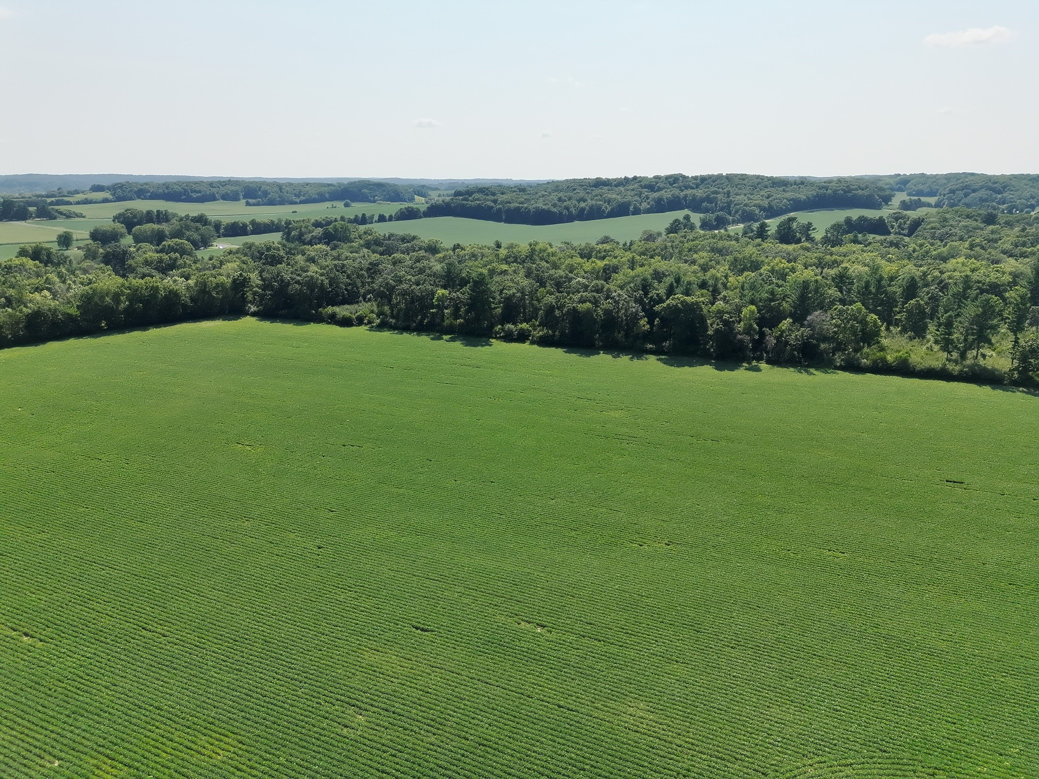 Xx State Highway 79 Property Photo 9