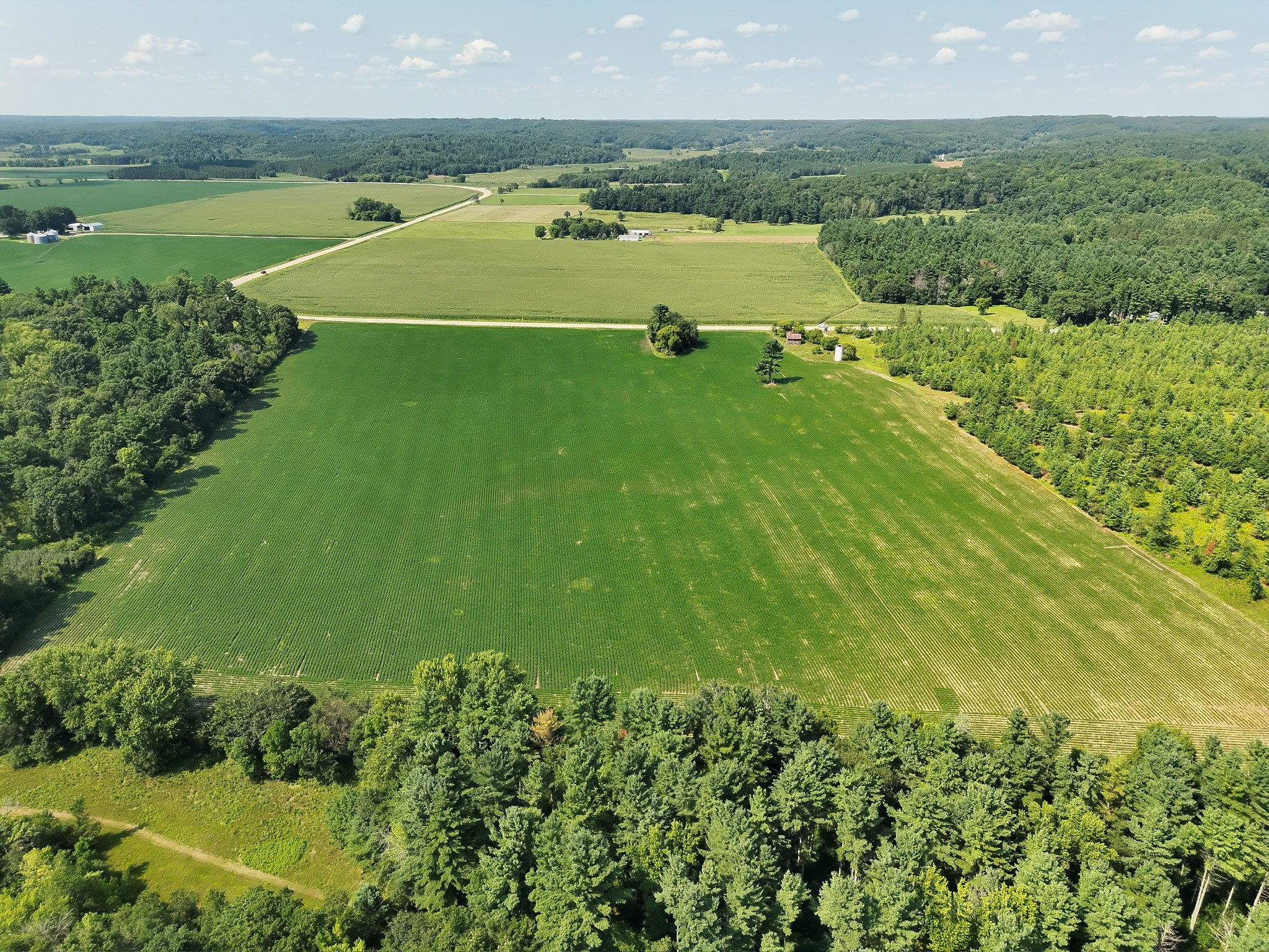 Xx State Highway 79 Property Photo 10