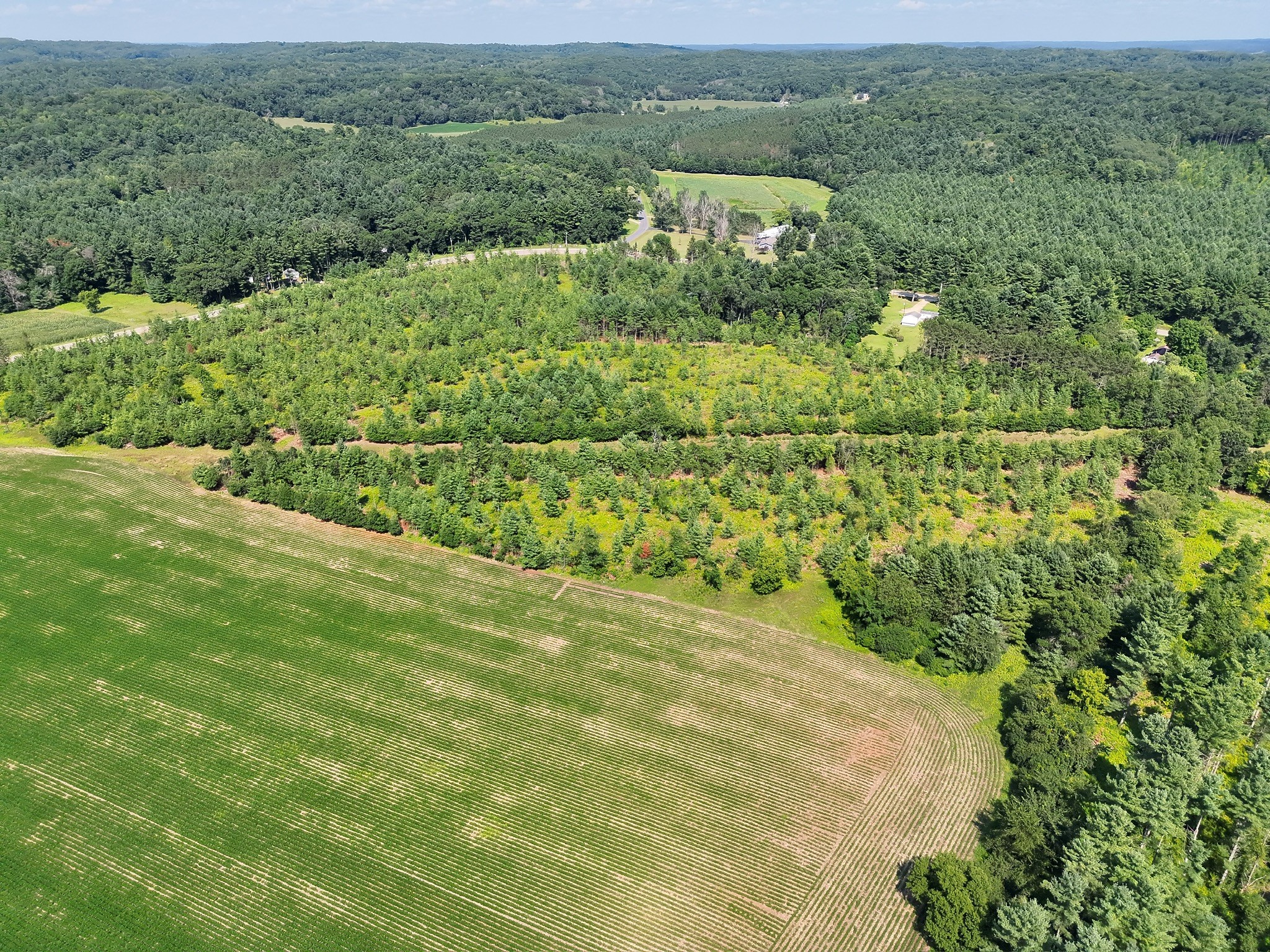 Xx State Highway 79 Property Photo 12