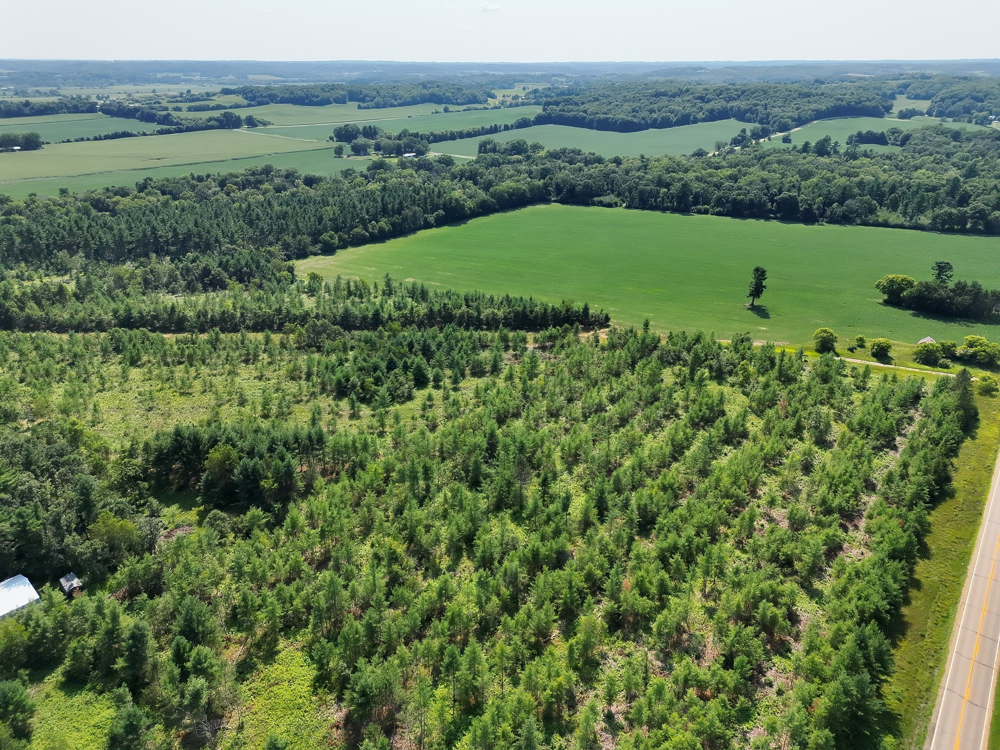 Xx State Highway 79 Property Photo 17