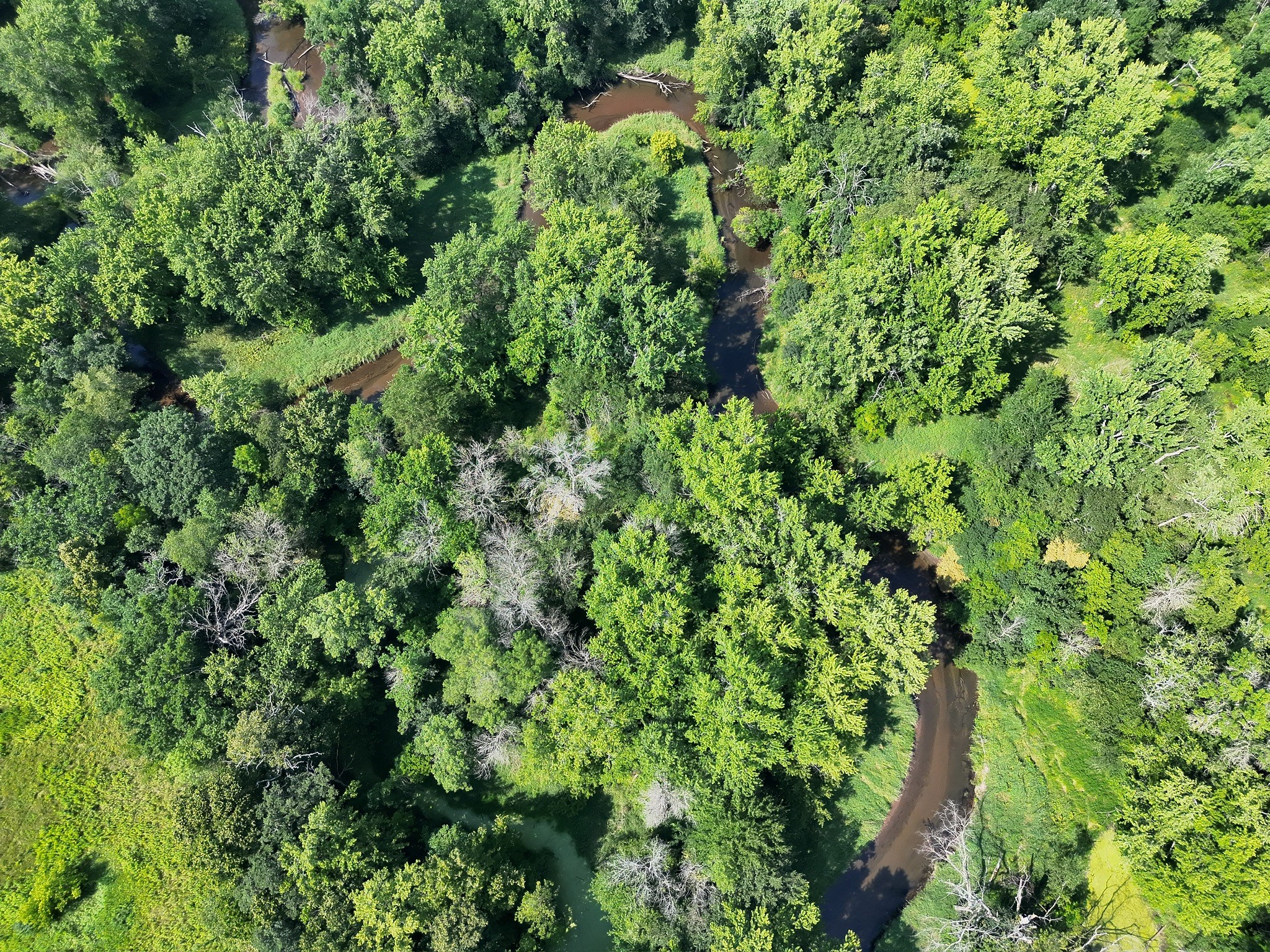 Xx State Highway 79 Property Photo 20