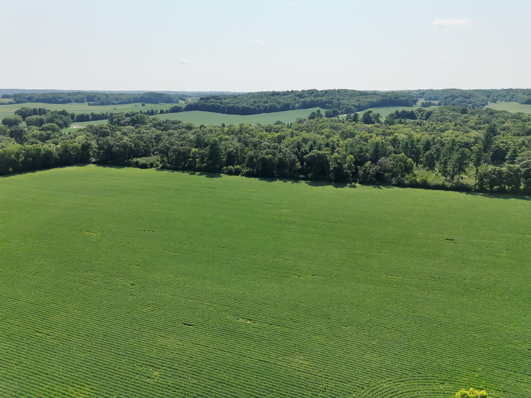 Xx State Highway 79 Property Photo 22