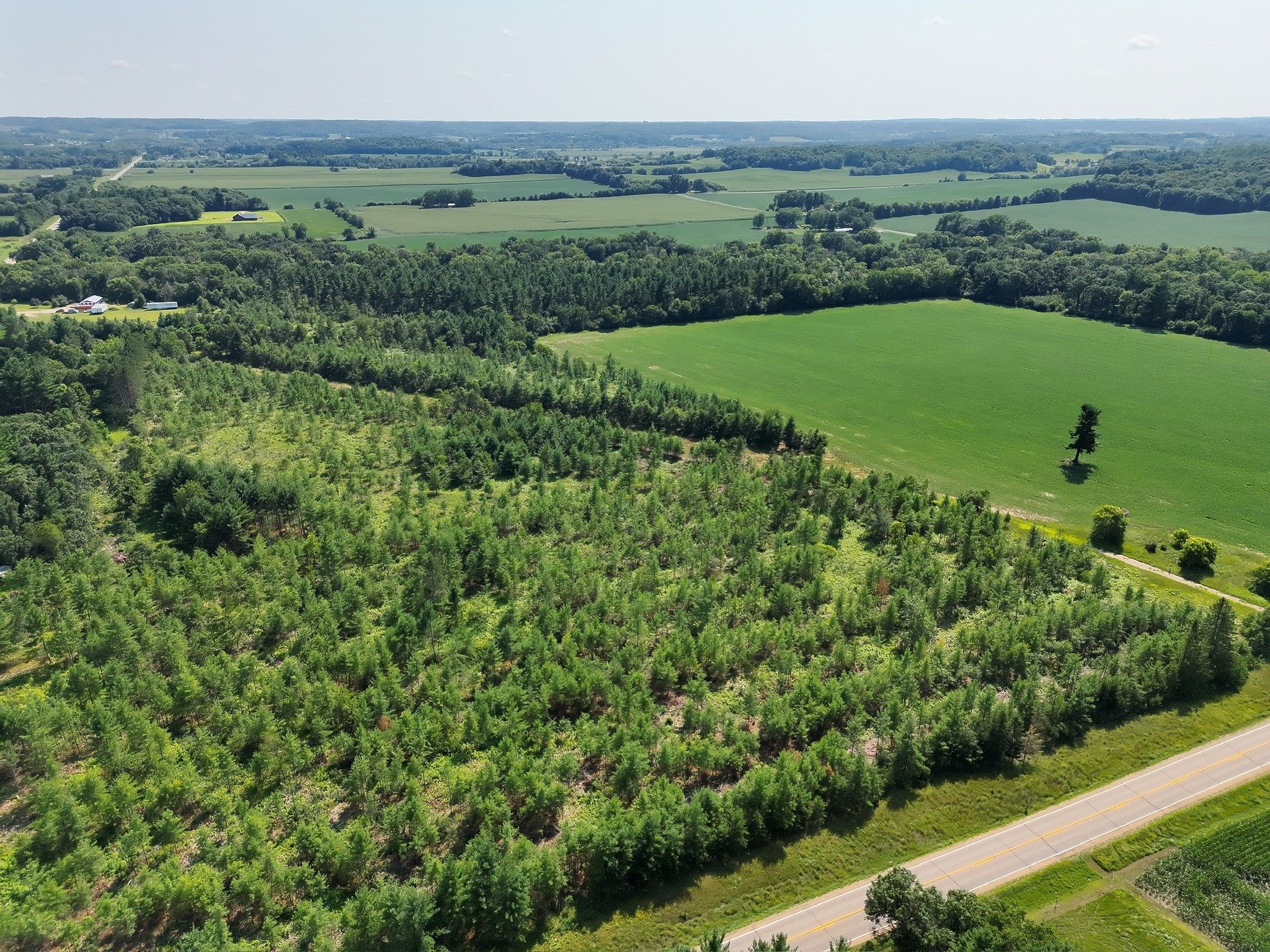 Xx State Highway 79 Property Photo 24