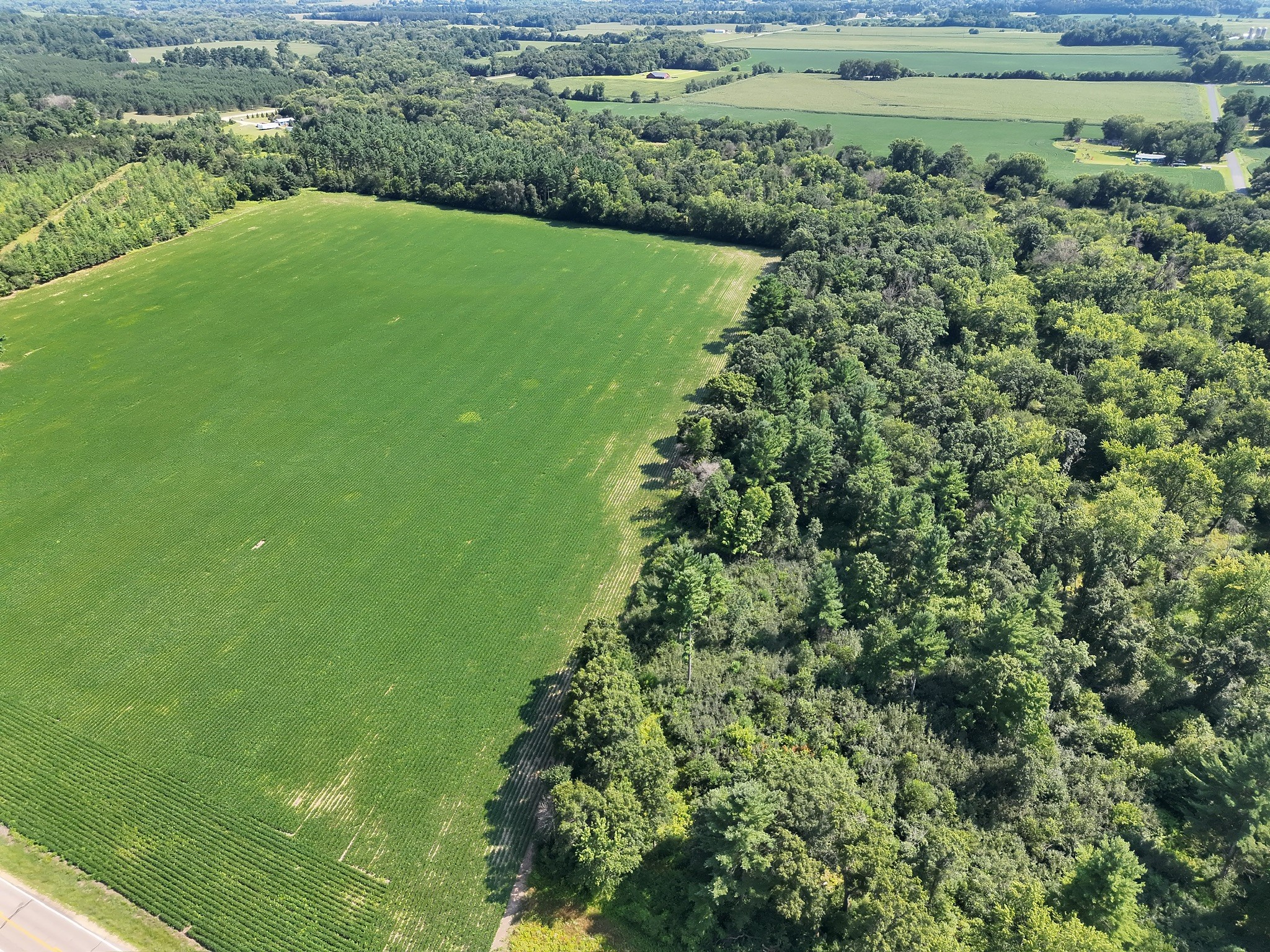 Xx State Highway 79 Property Photo 28