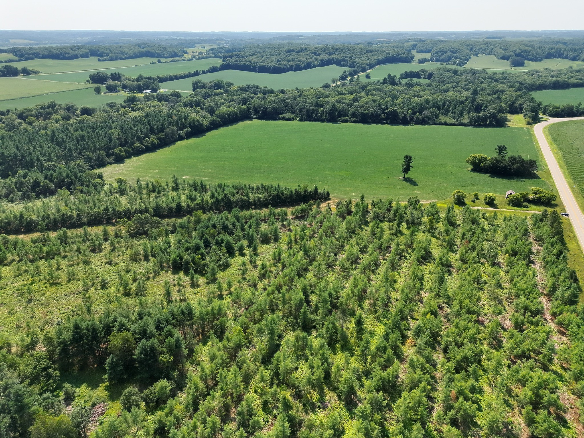 Xx State Highway 79 Property Photo 31