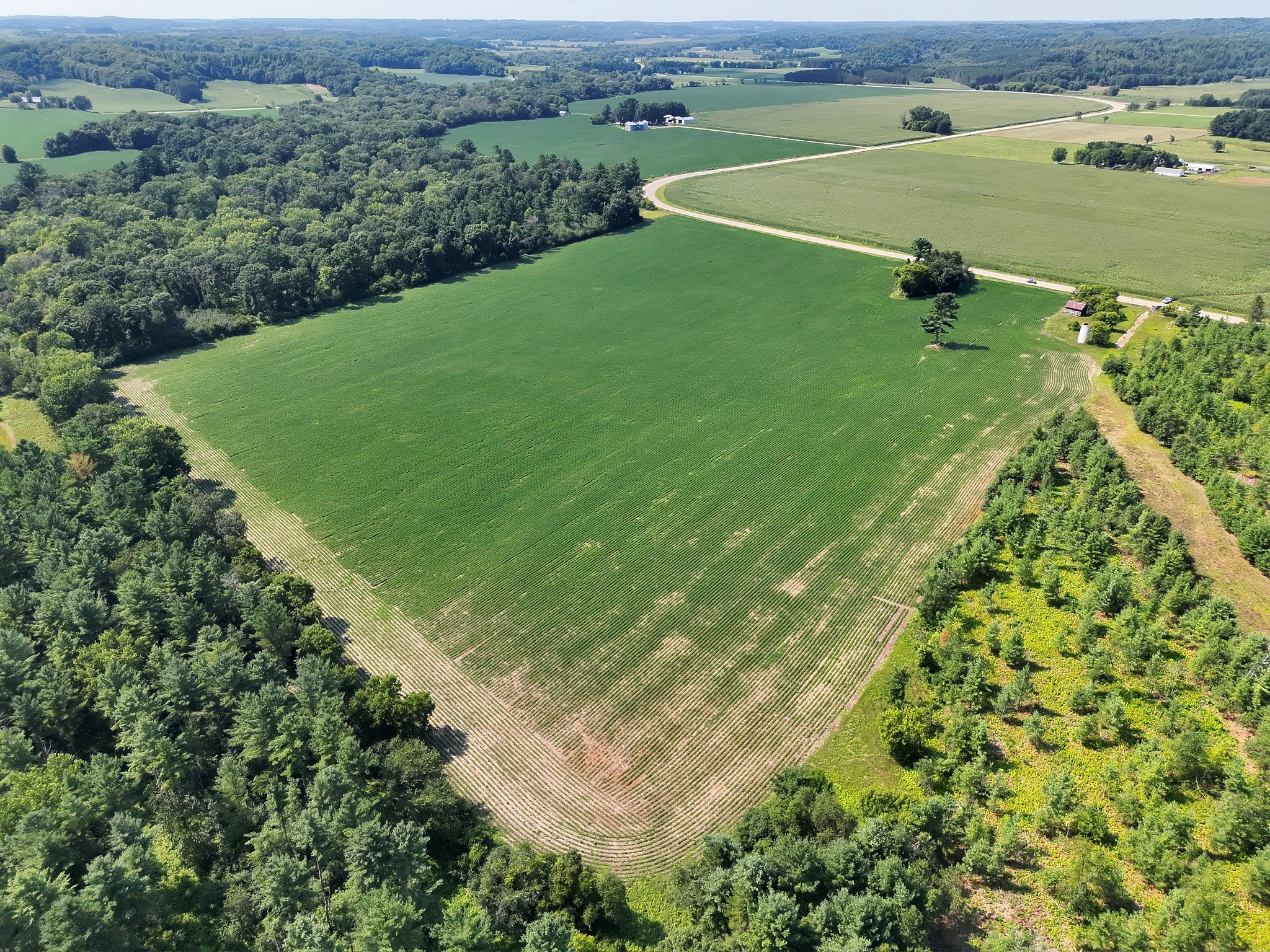 Xx State Highway 79 Property Photo 34