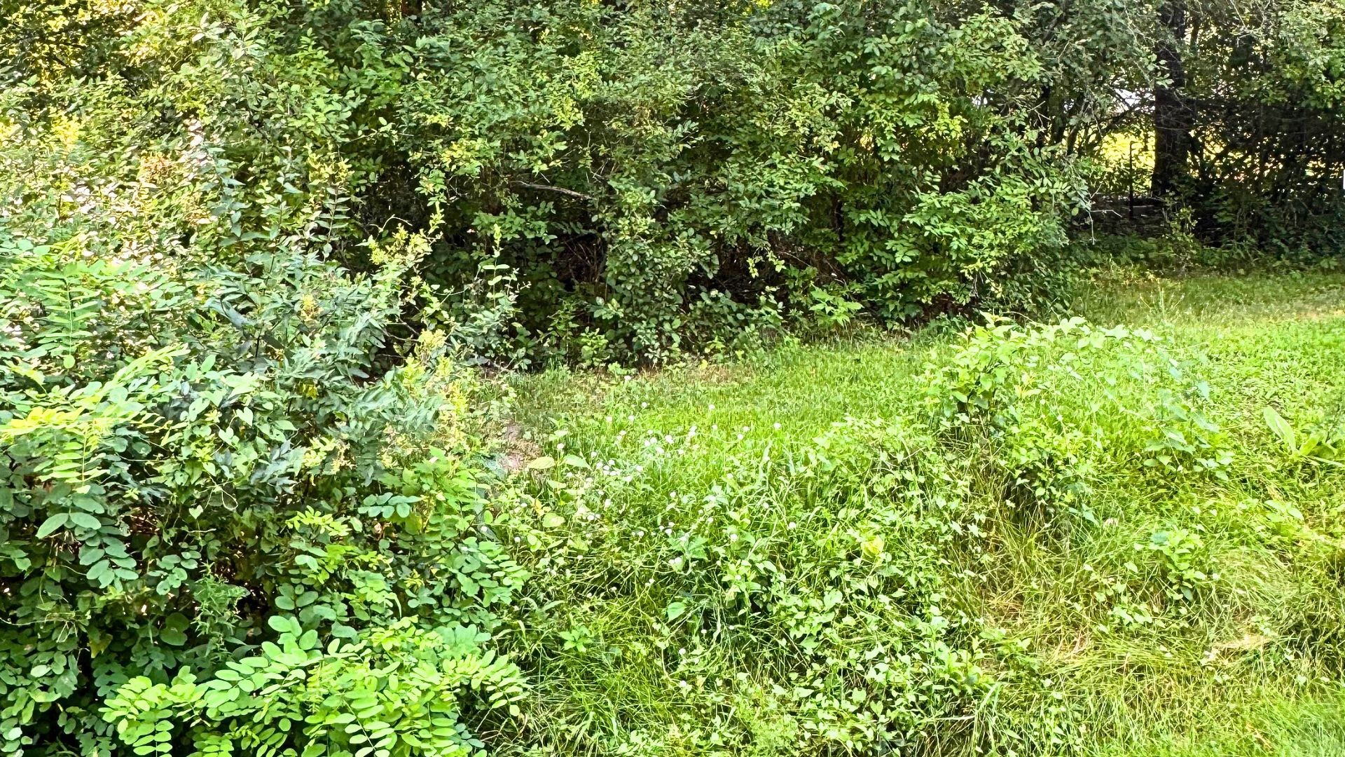 Xx State Highway 79 Property Photo 35